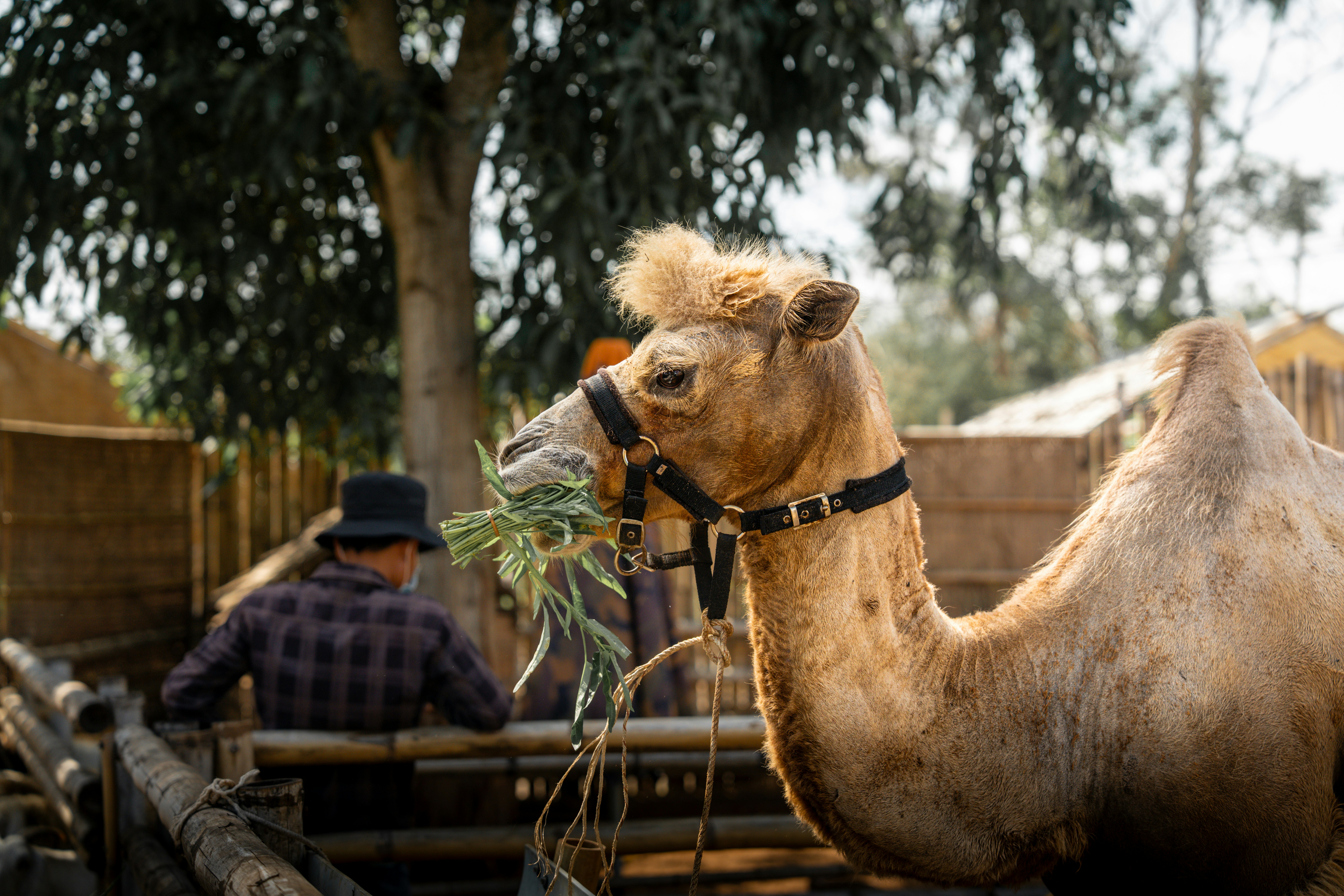 Photo by tlamtran_11