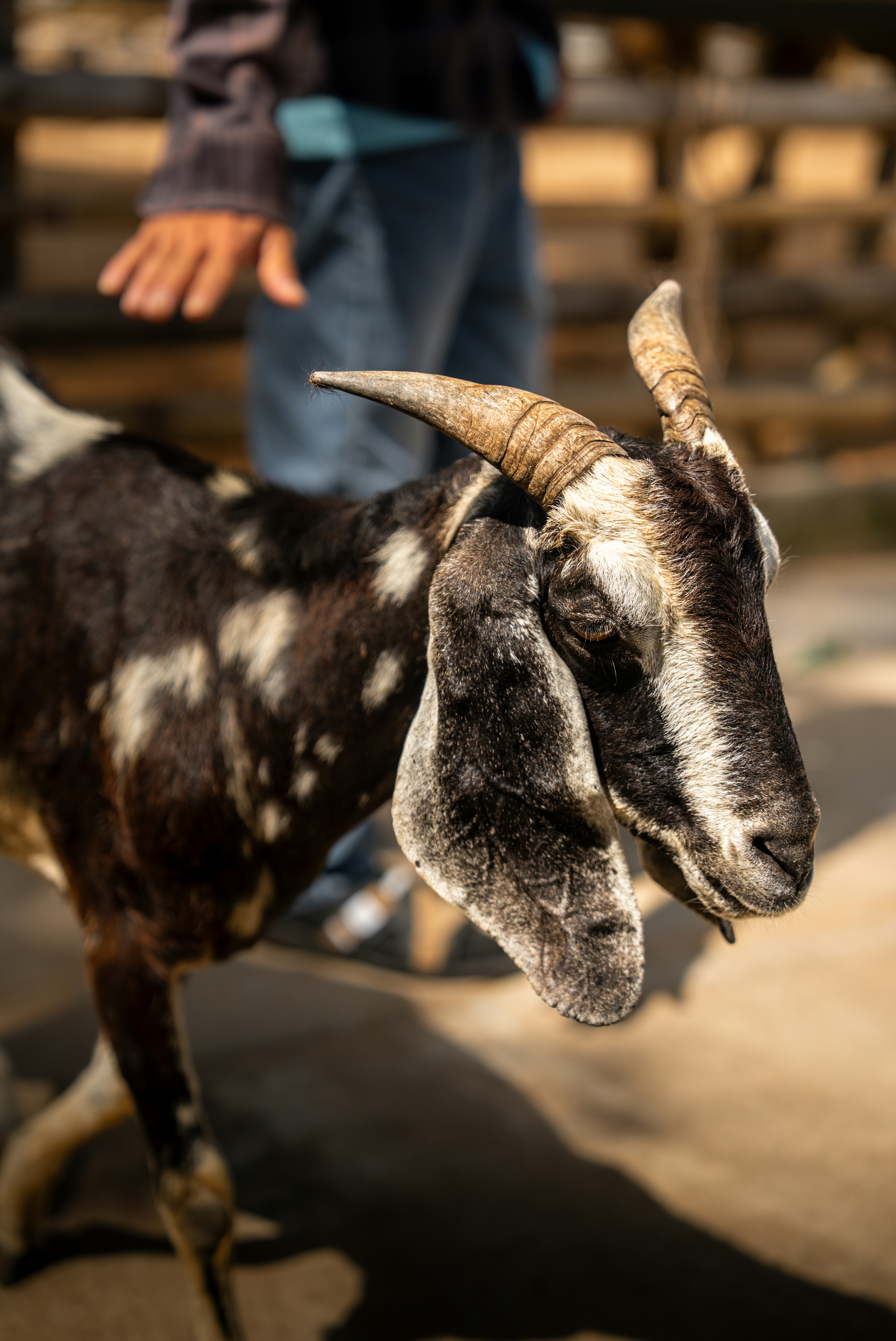 Photo by tlamtran_11