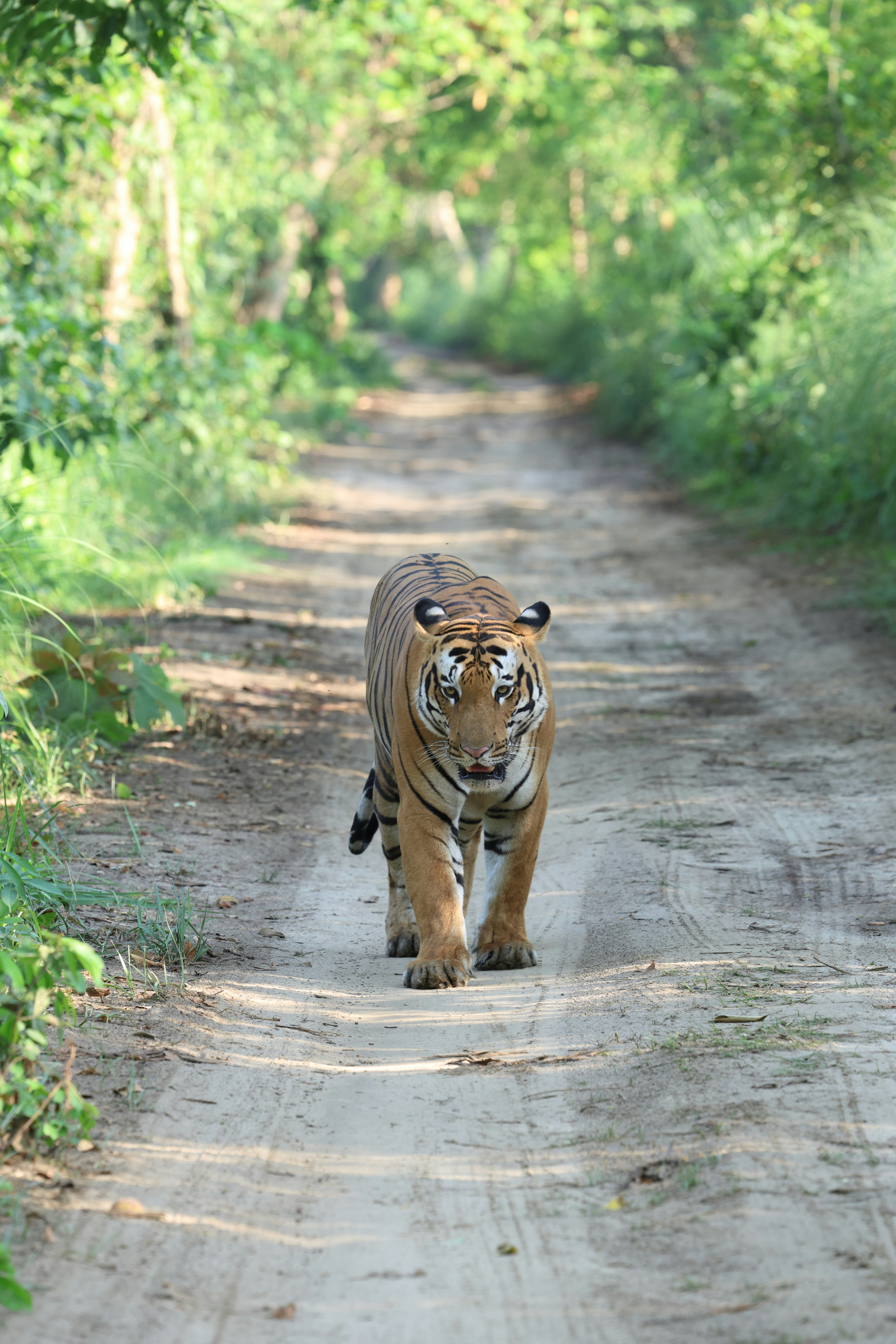 National Borders, Natural Barriers (image credits: unsplash)