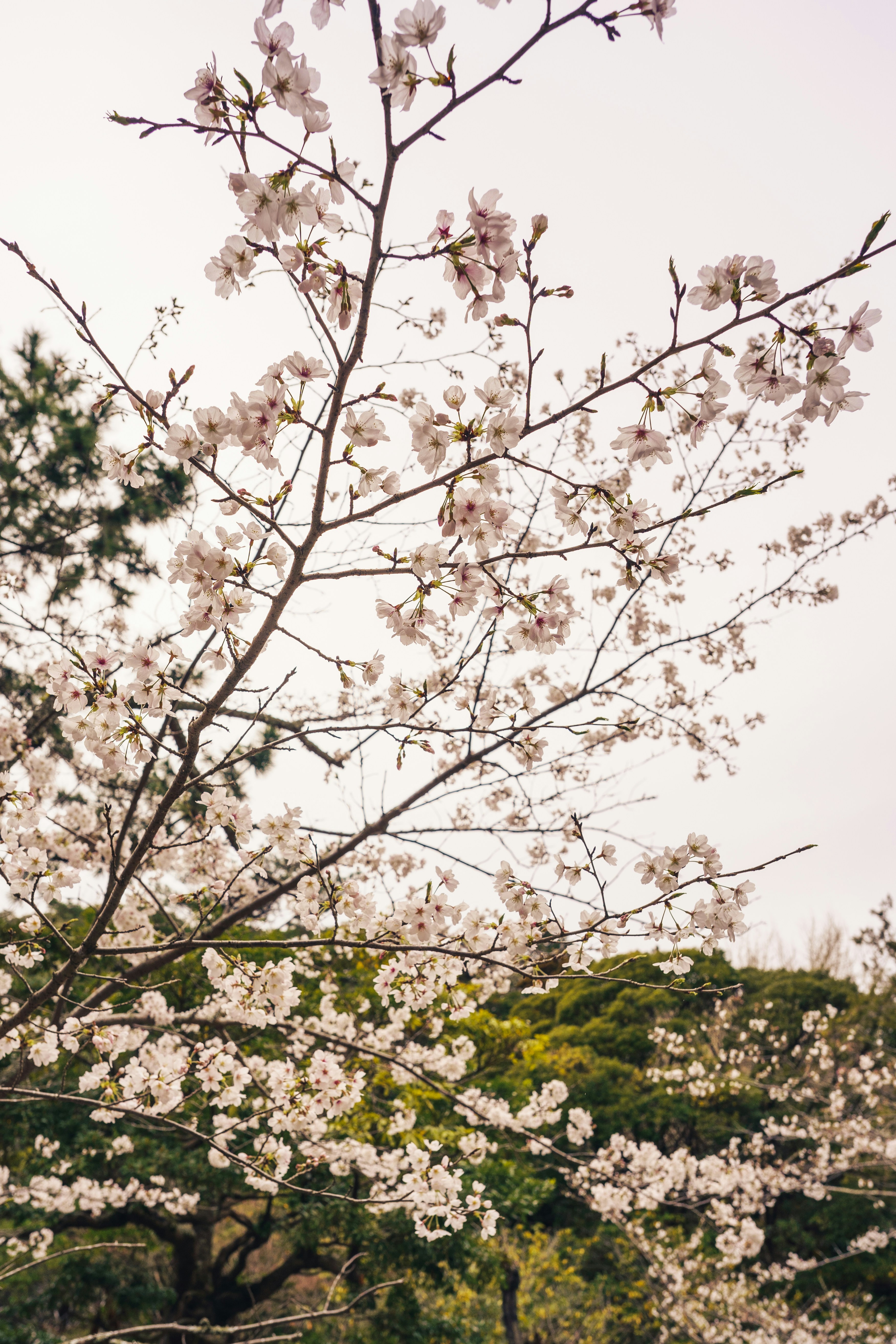 Photo by mirrors_are_more_fun