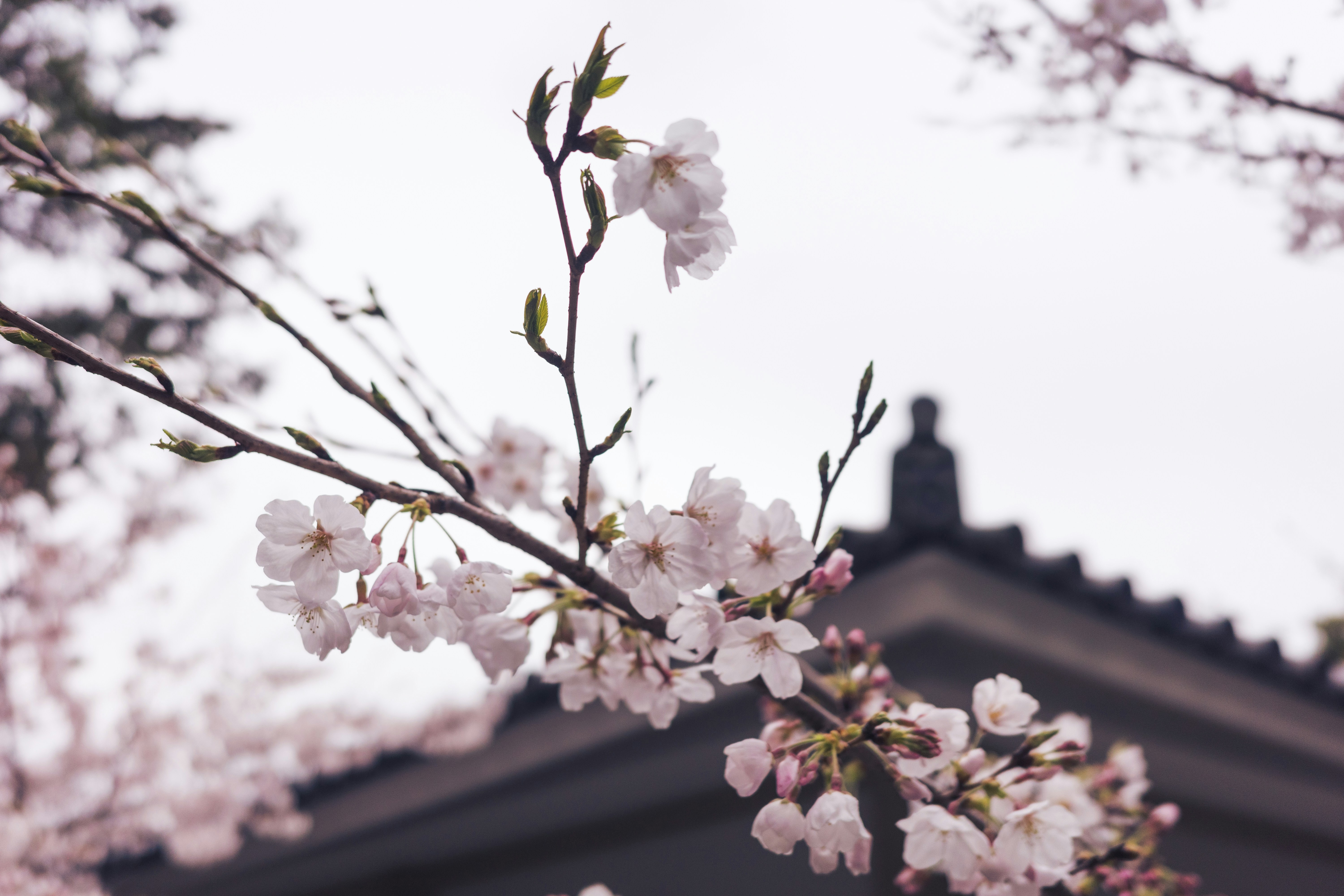 Photo by mirrors_are_more_fun