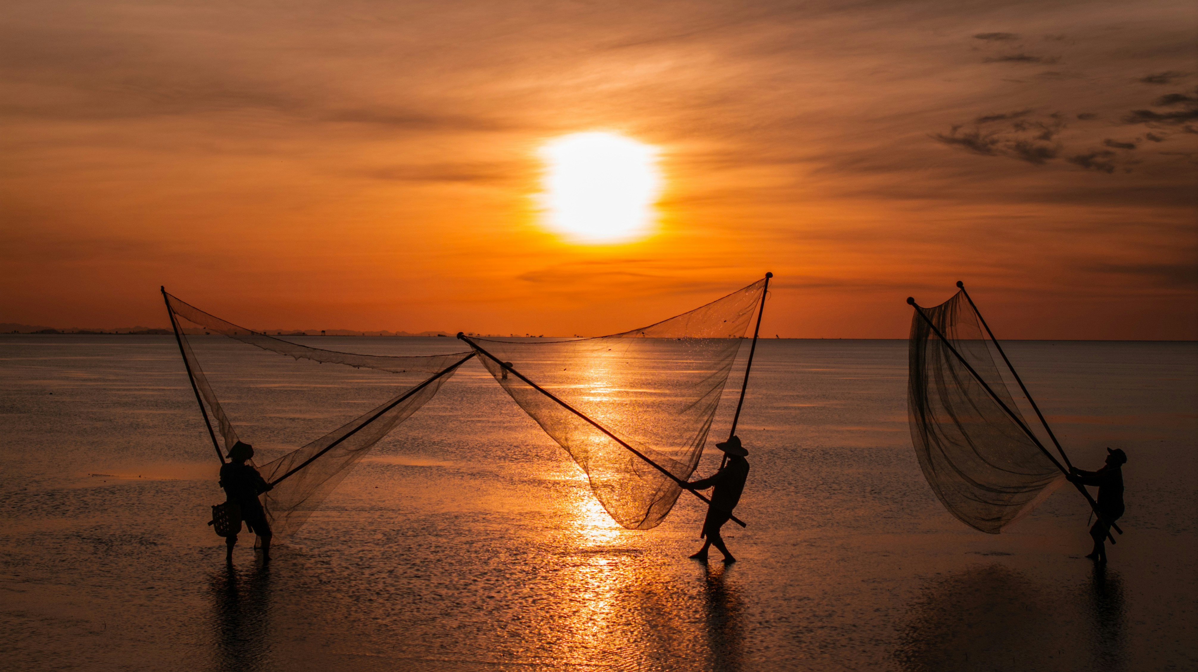 Photo by tranminhkhoi1160