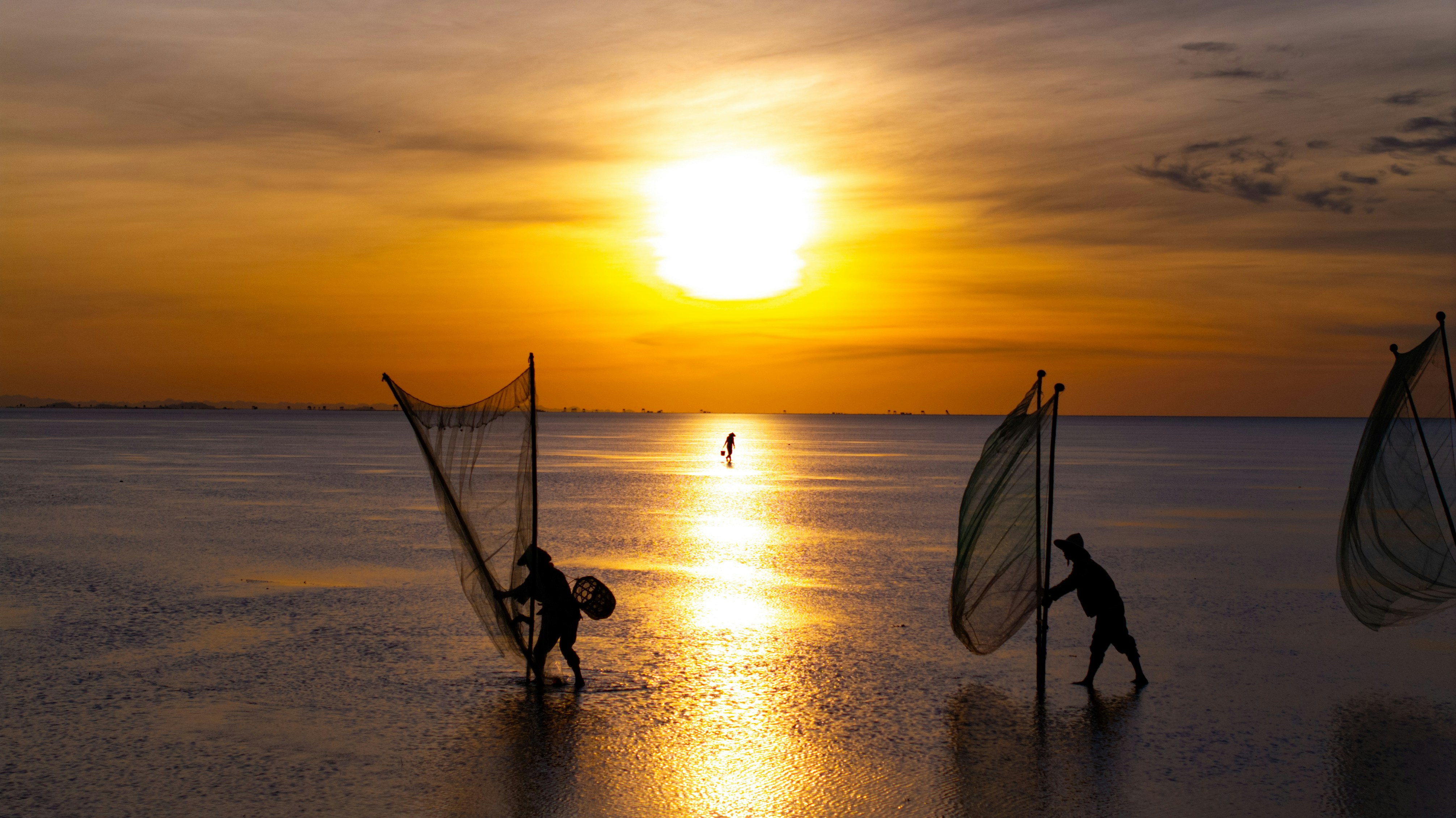 Photo by tranminhkhoi1160