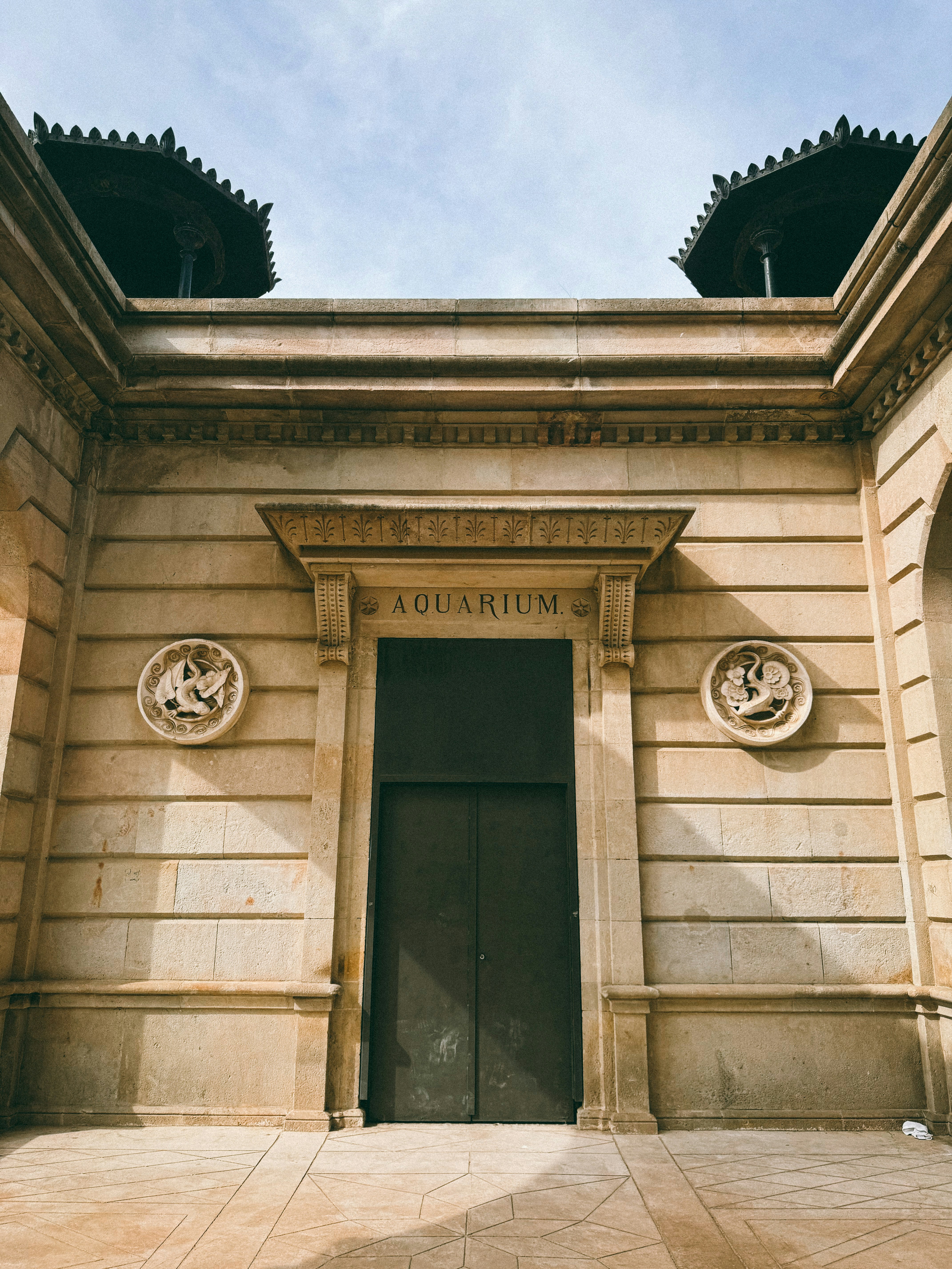 Photo by gustavo_ch69