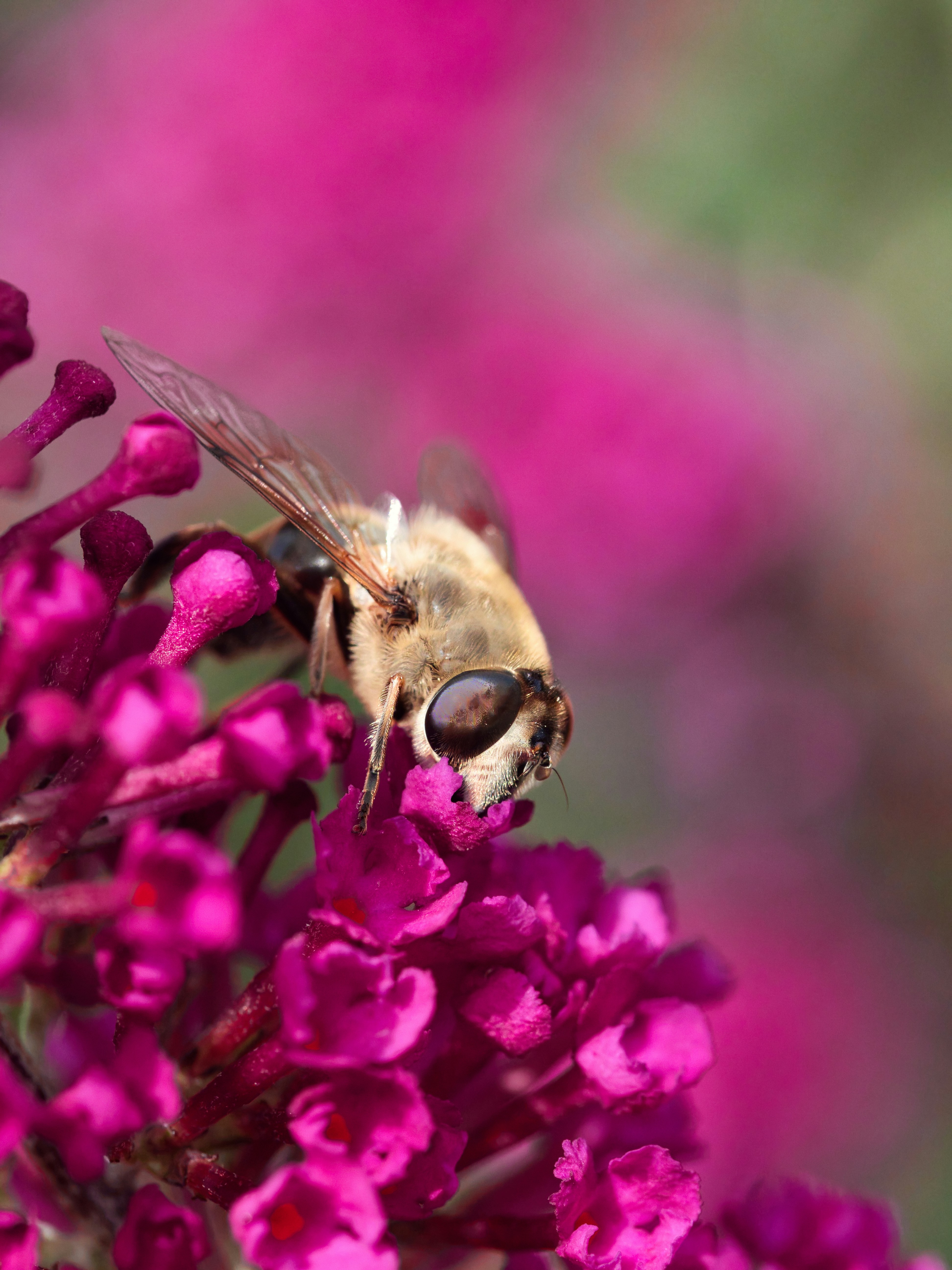 Photo by theskytales