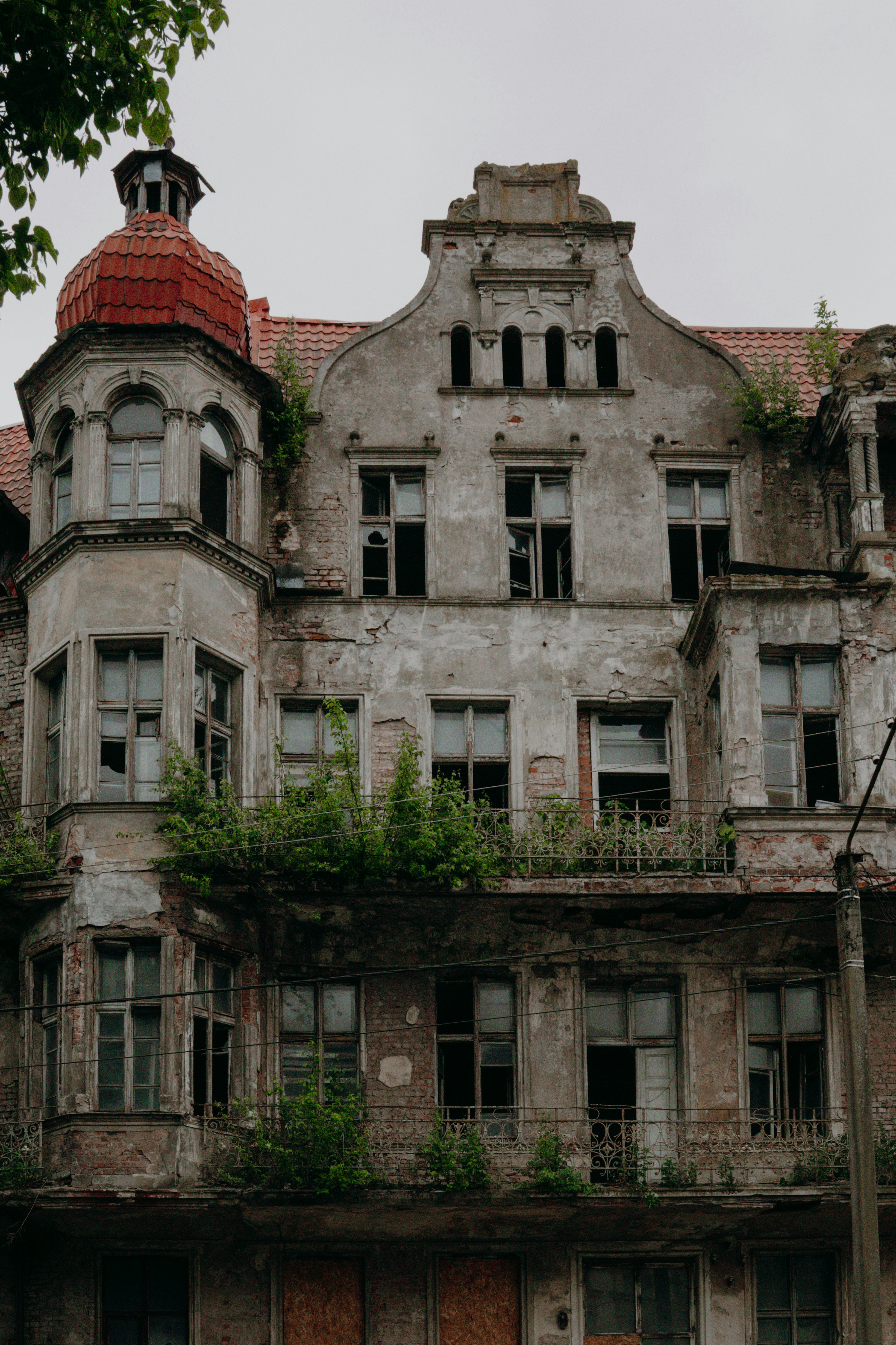 Photo by ivleva_iuliia