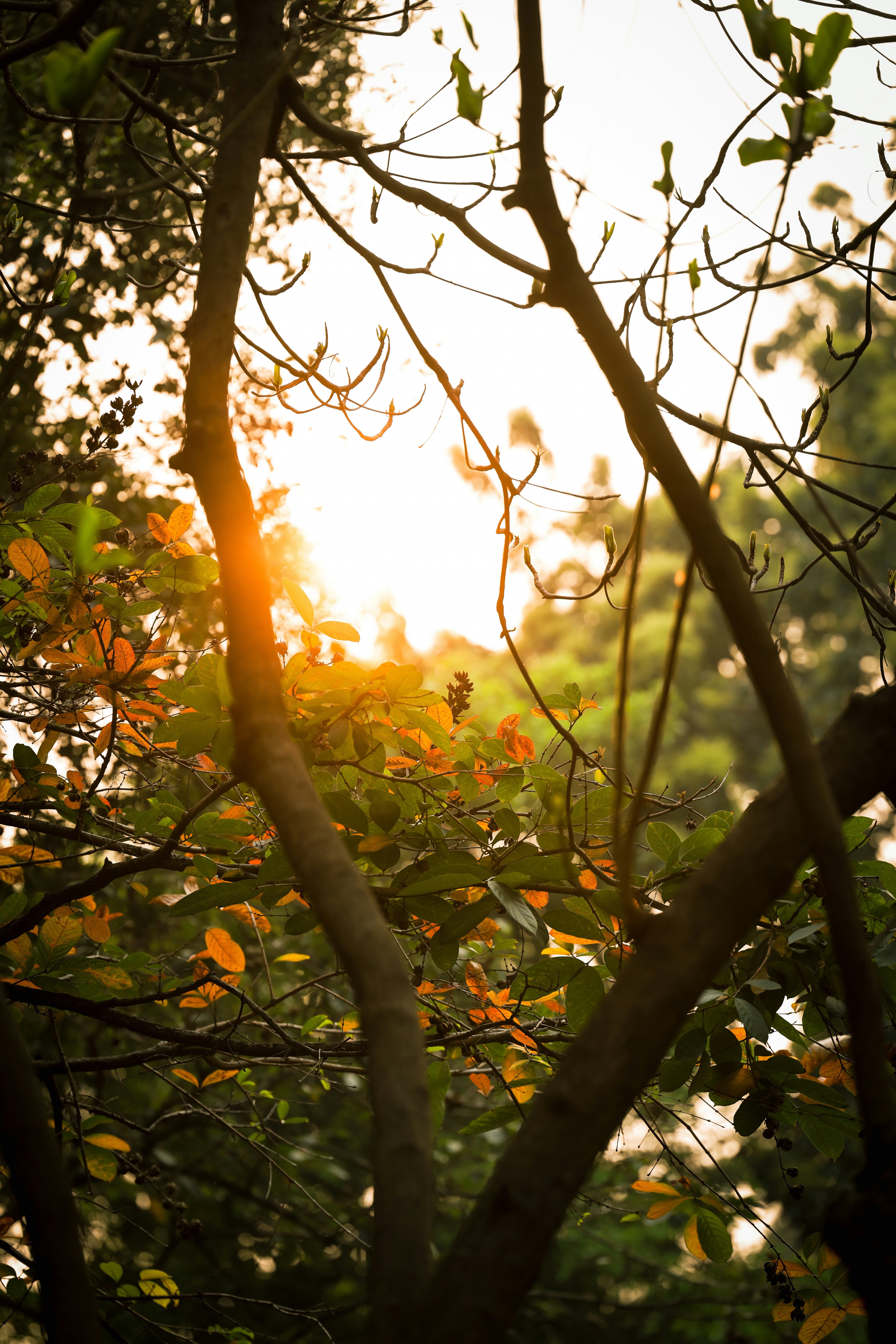 Photo by nganduong93