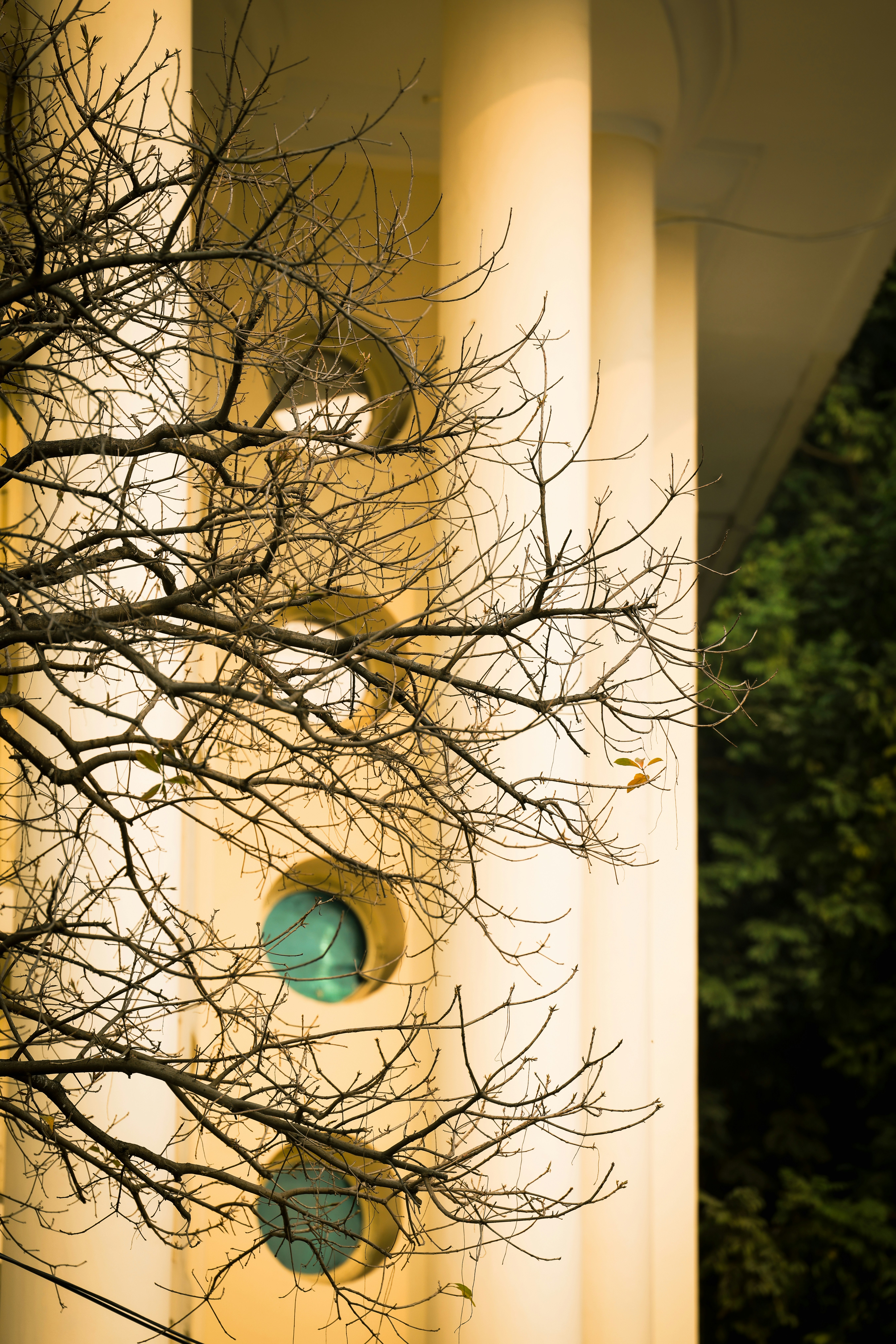 Photo by nganduong93