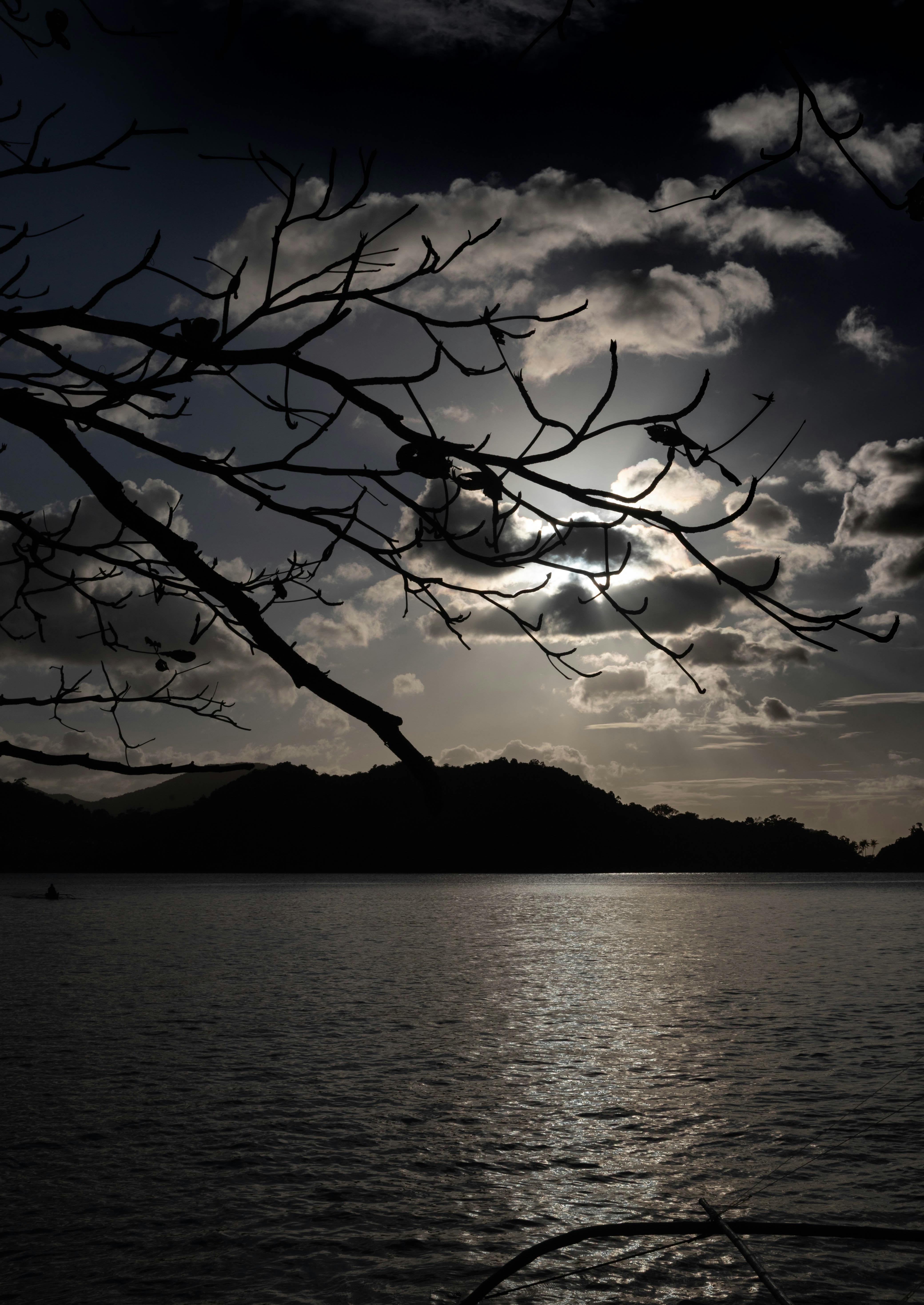 Photo by hdbernd