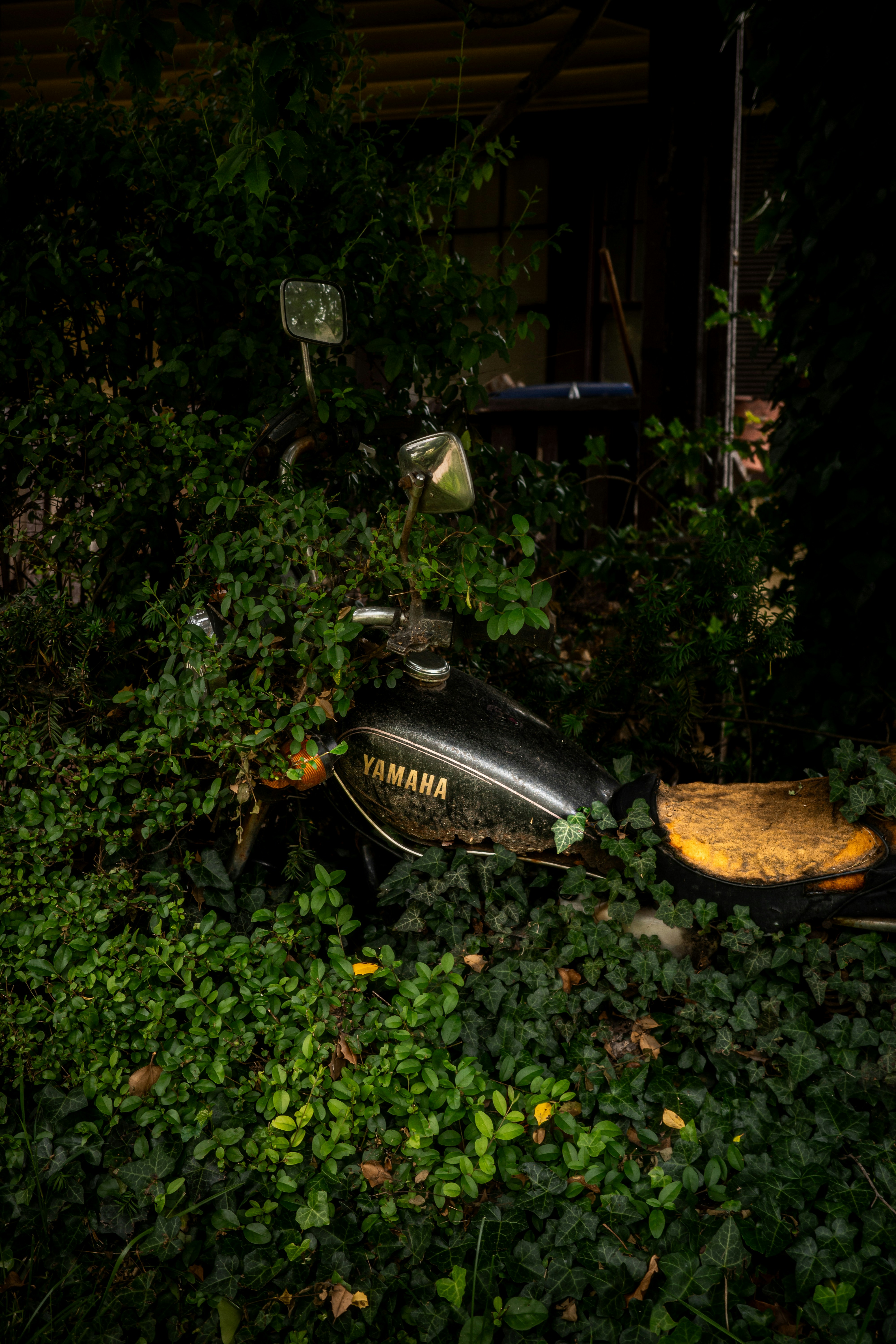 Photo by nhuenerfuerst