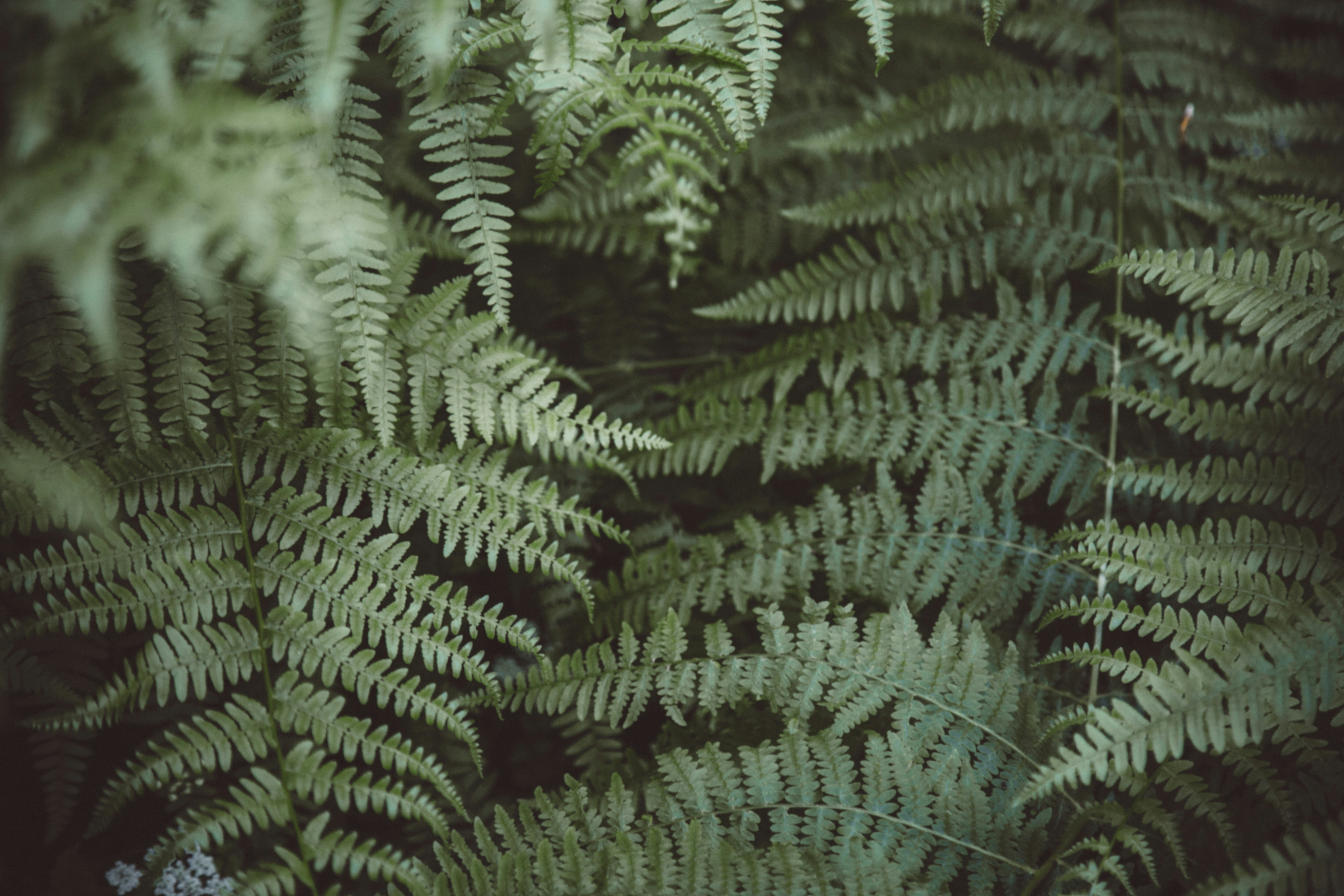 Photo by i_am_simoesse