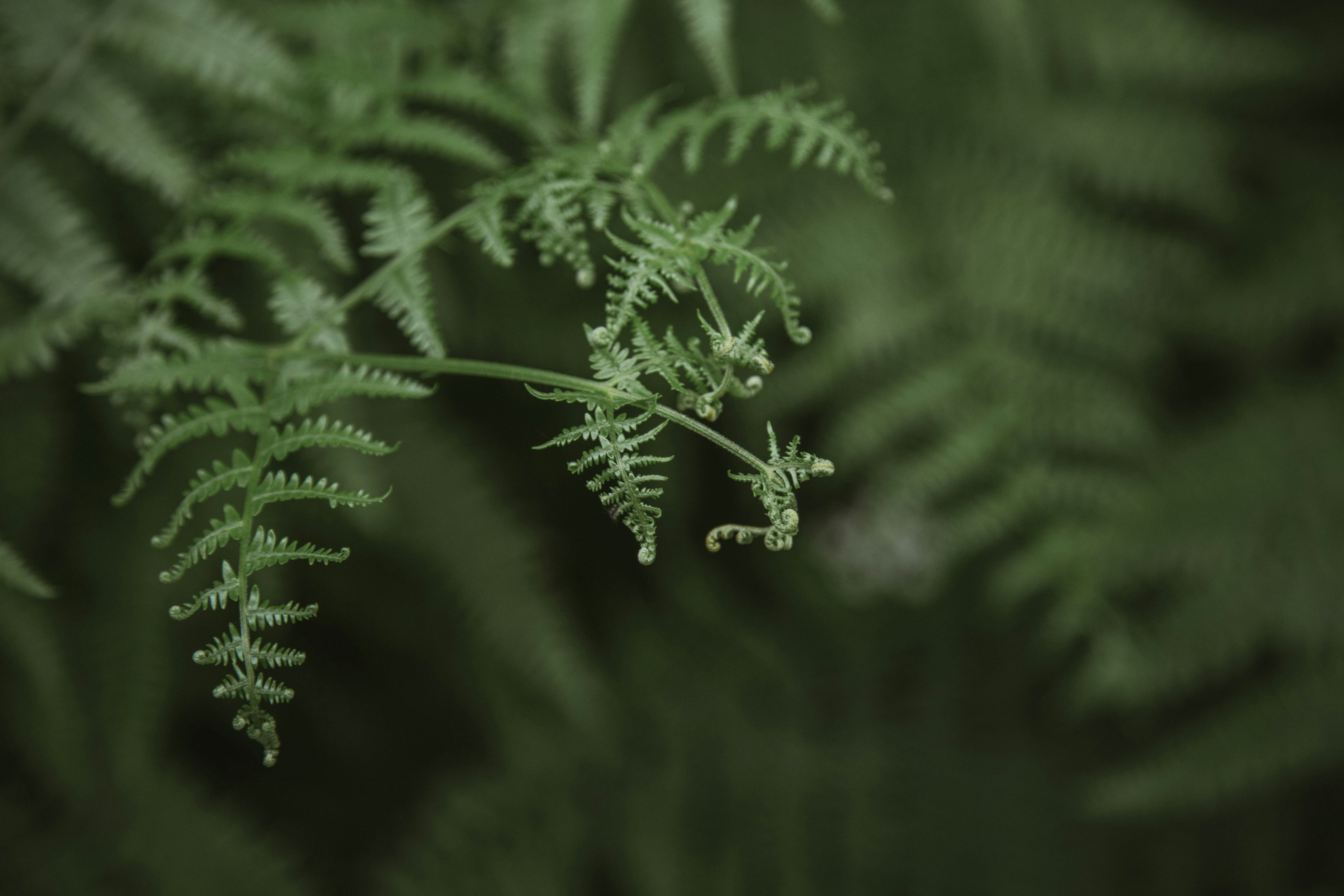 Photo by i_am_simoesse