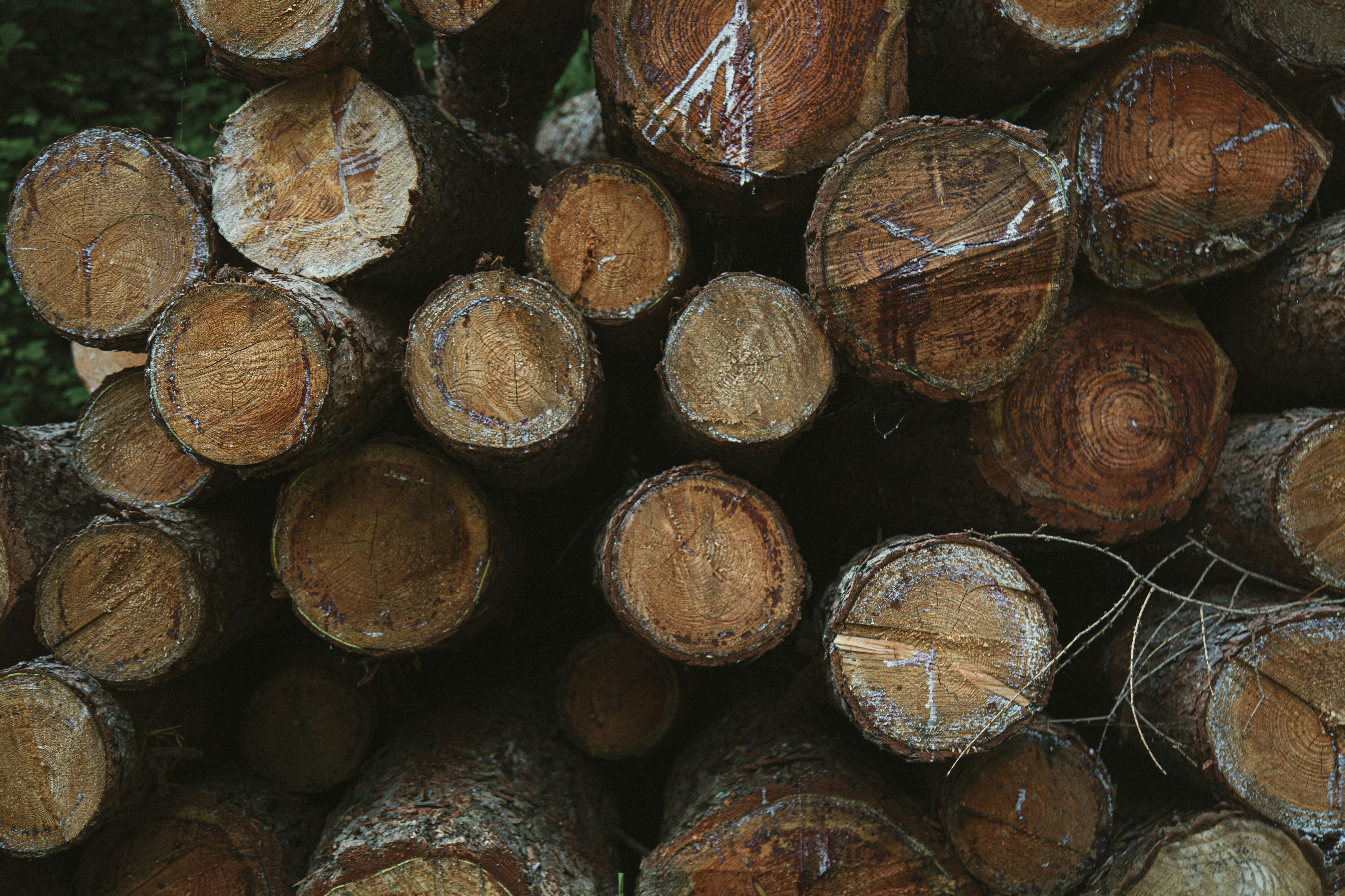 Photo by i_am_simoesse