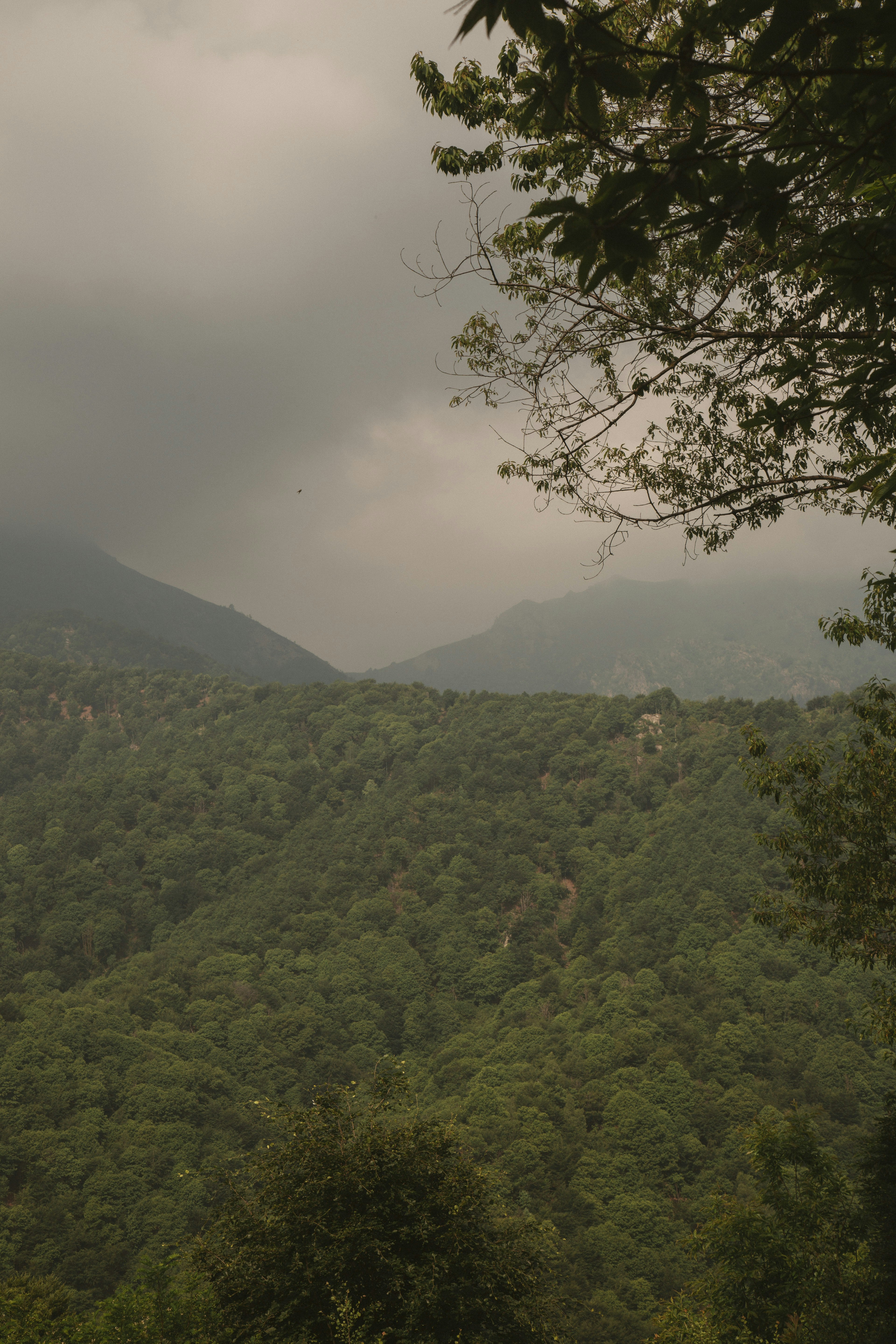 Photo by i_am_simoesse