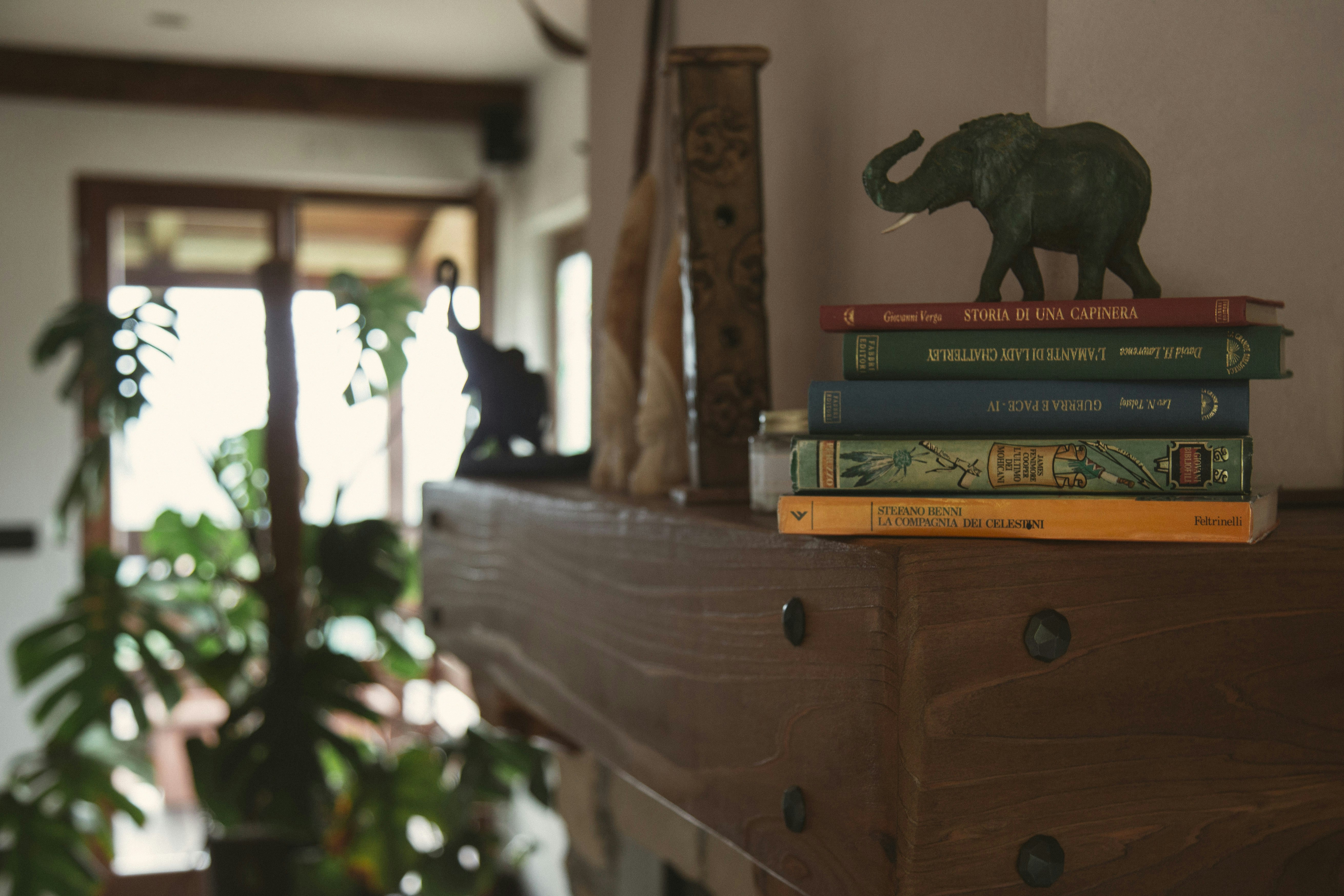 Photo by i_am_simoesse