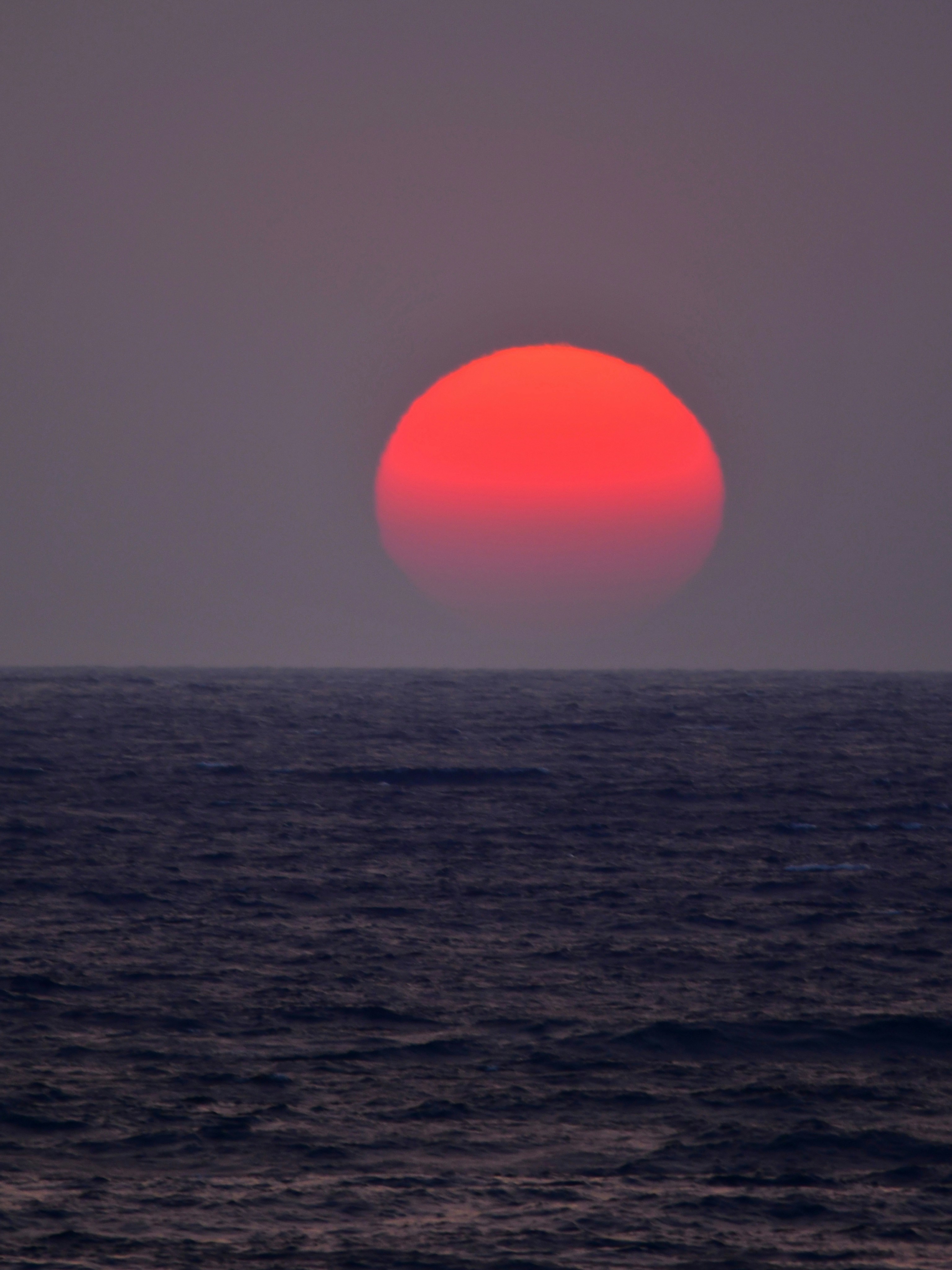 Photo by pedrino5_official