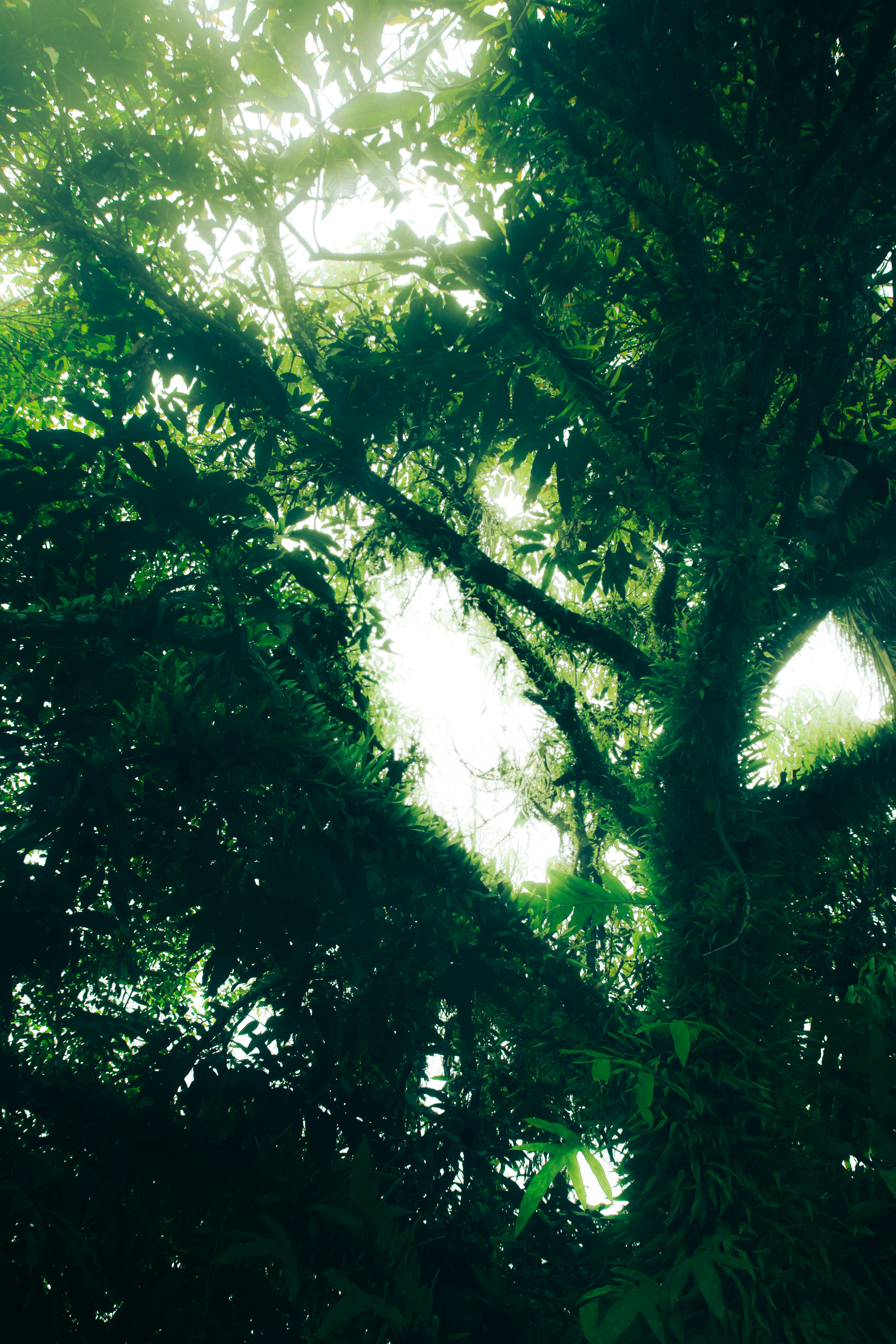 Photo by momonstar08