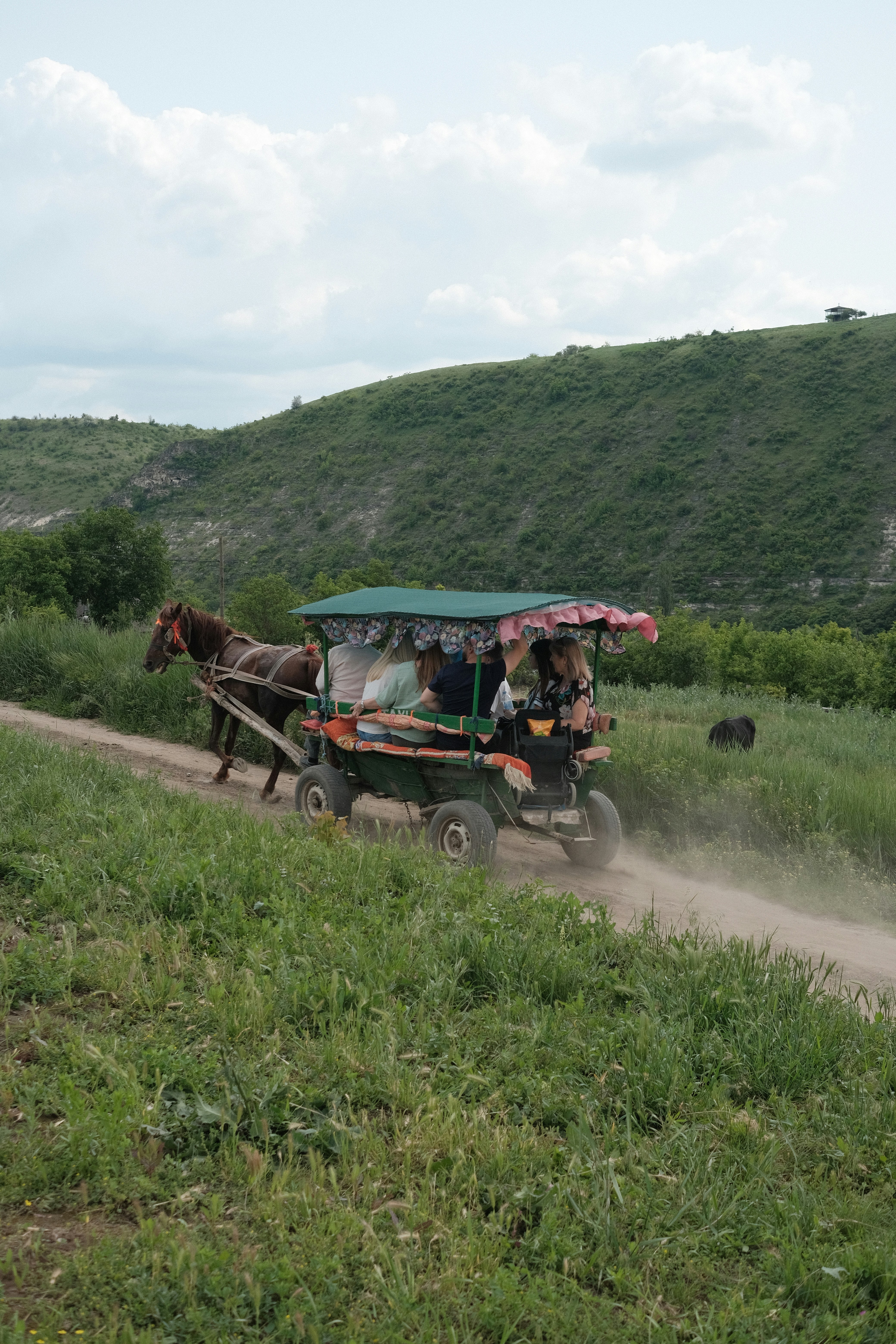 A horse-drawn carriage travels along a dirt road.