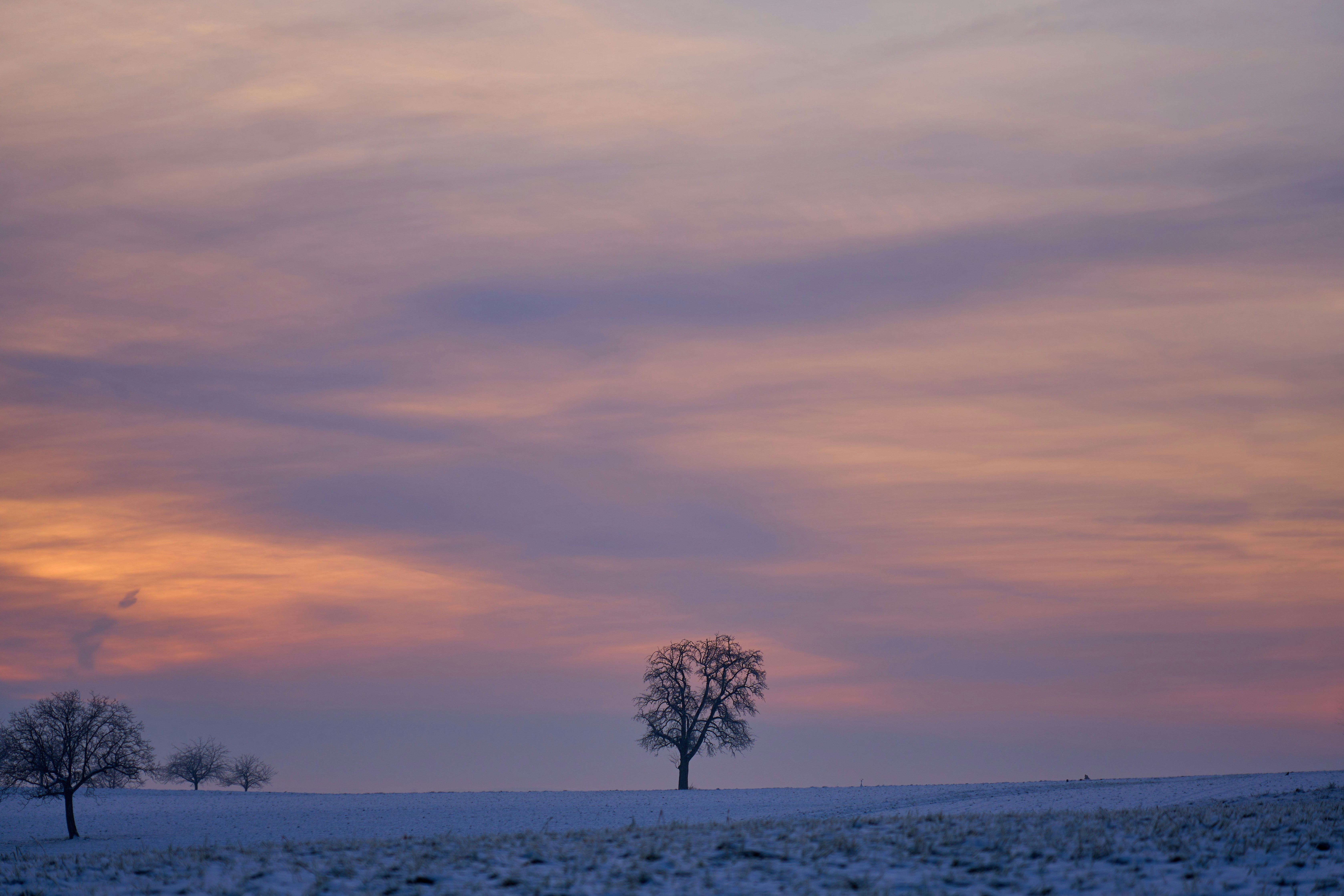 Photo by wolfgang_hasselmann