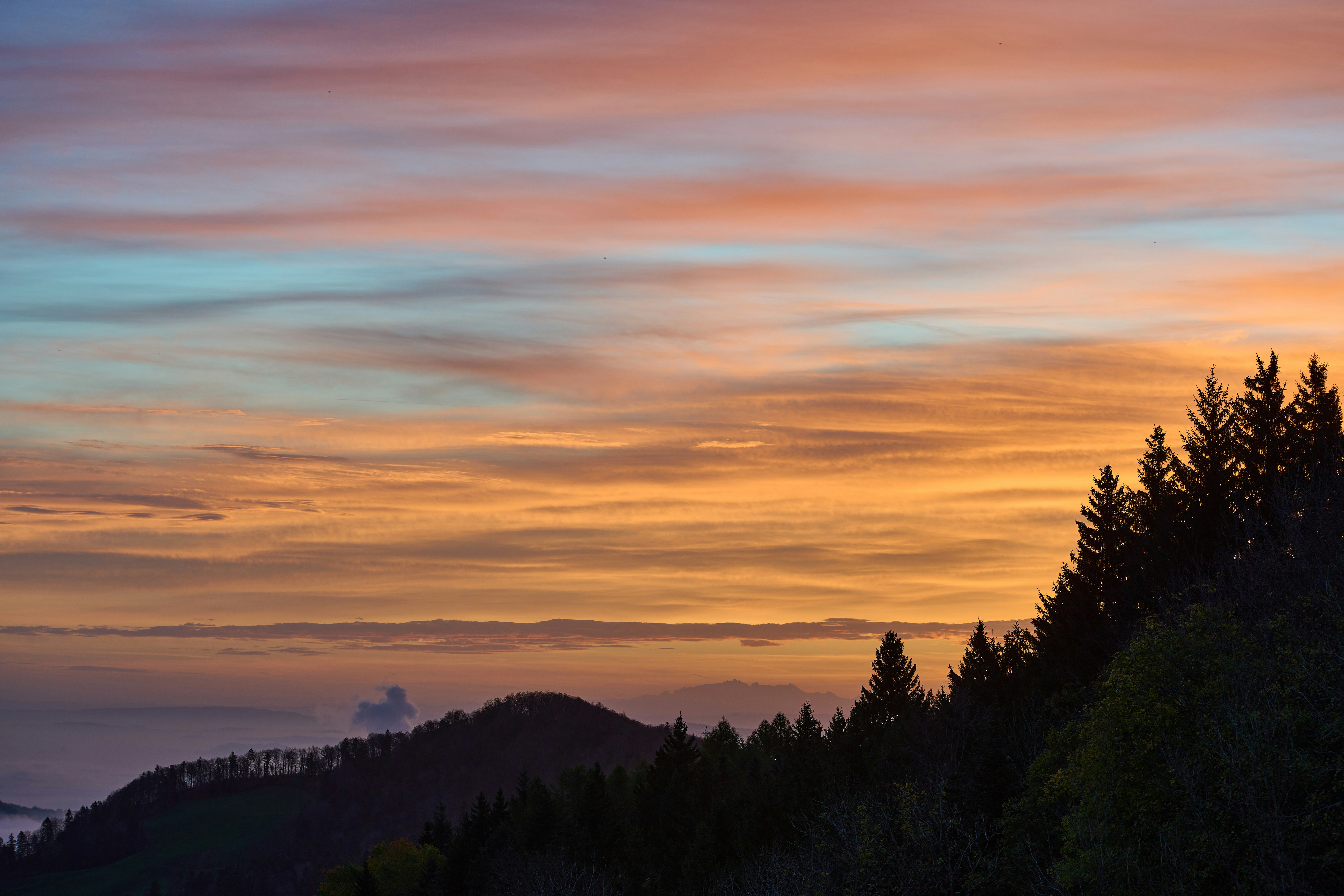 Photo by wolfgang_hasselmann