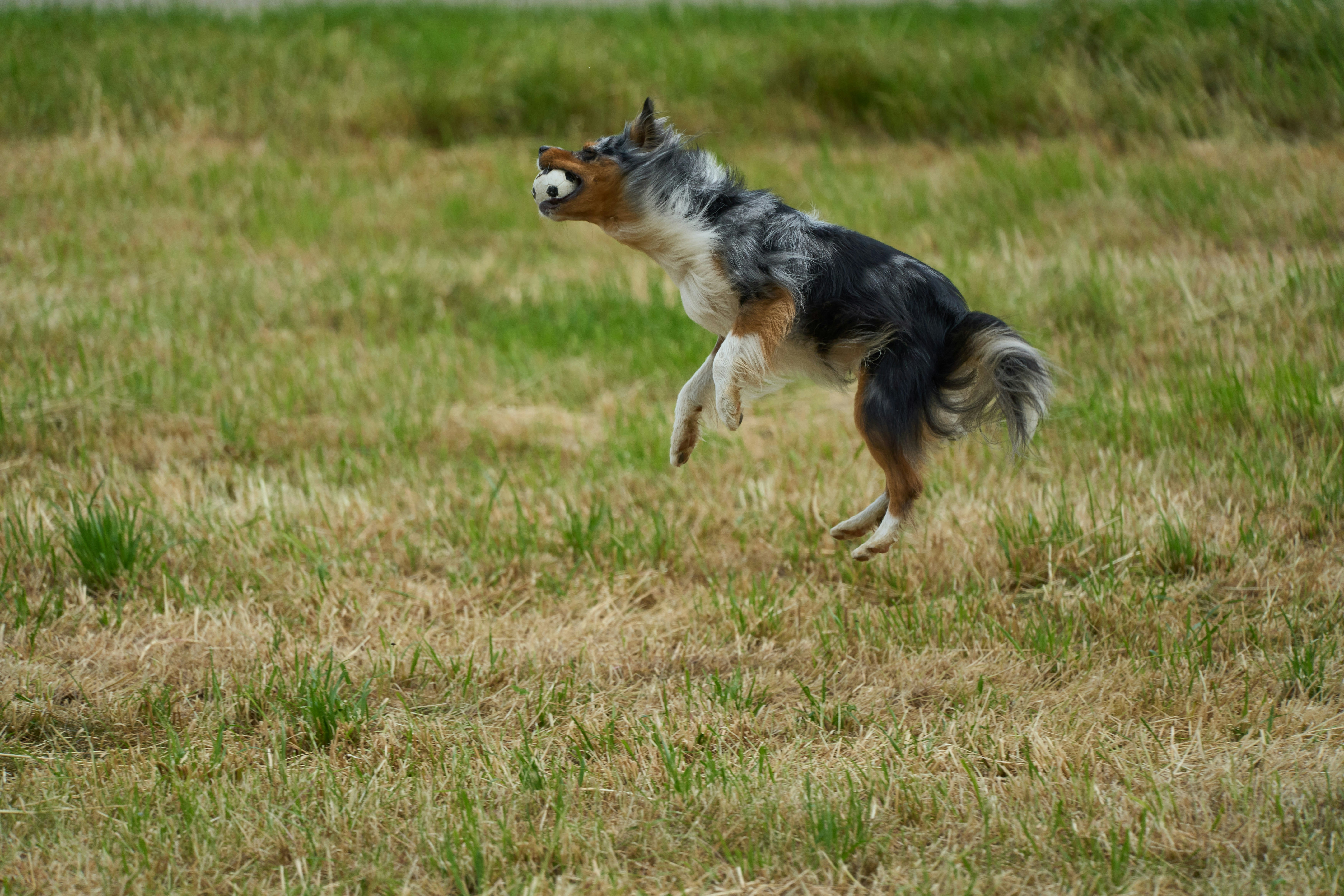 Photo by wolfgang_hasselmann