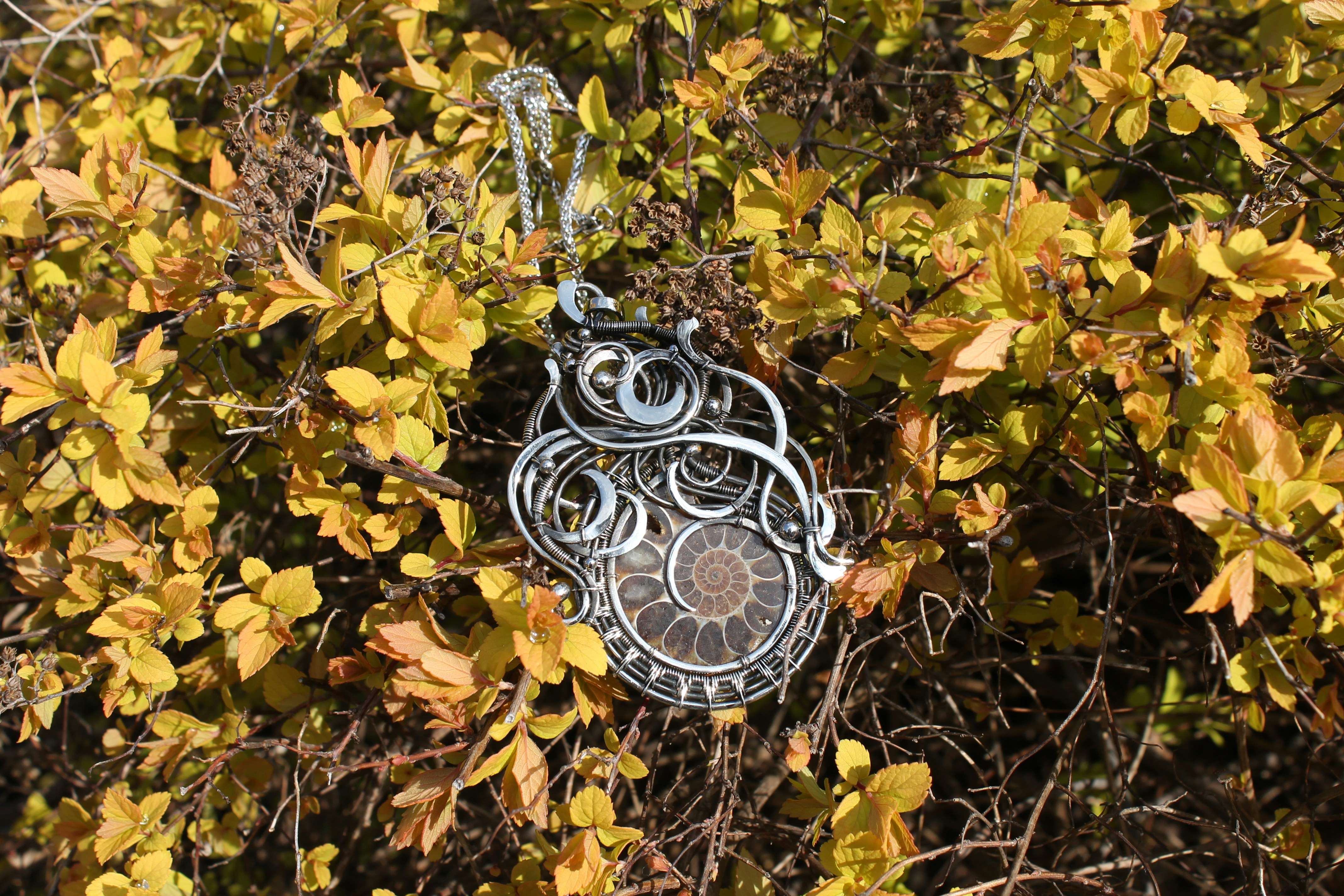 Photo by thehouseofthewitch