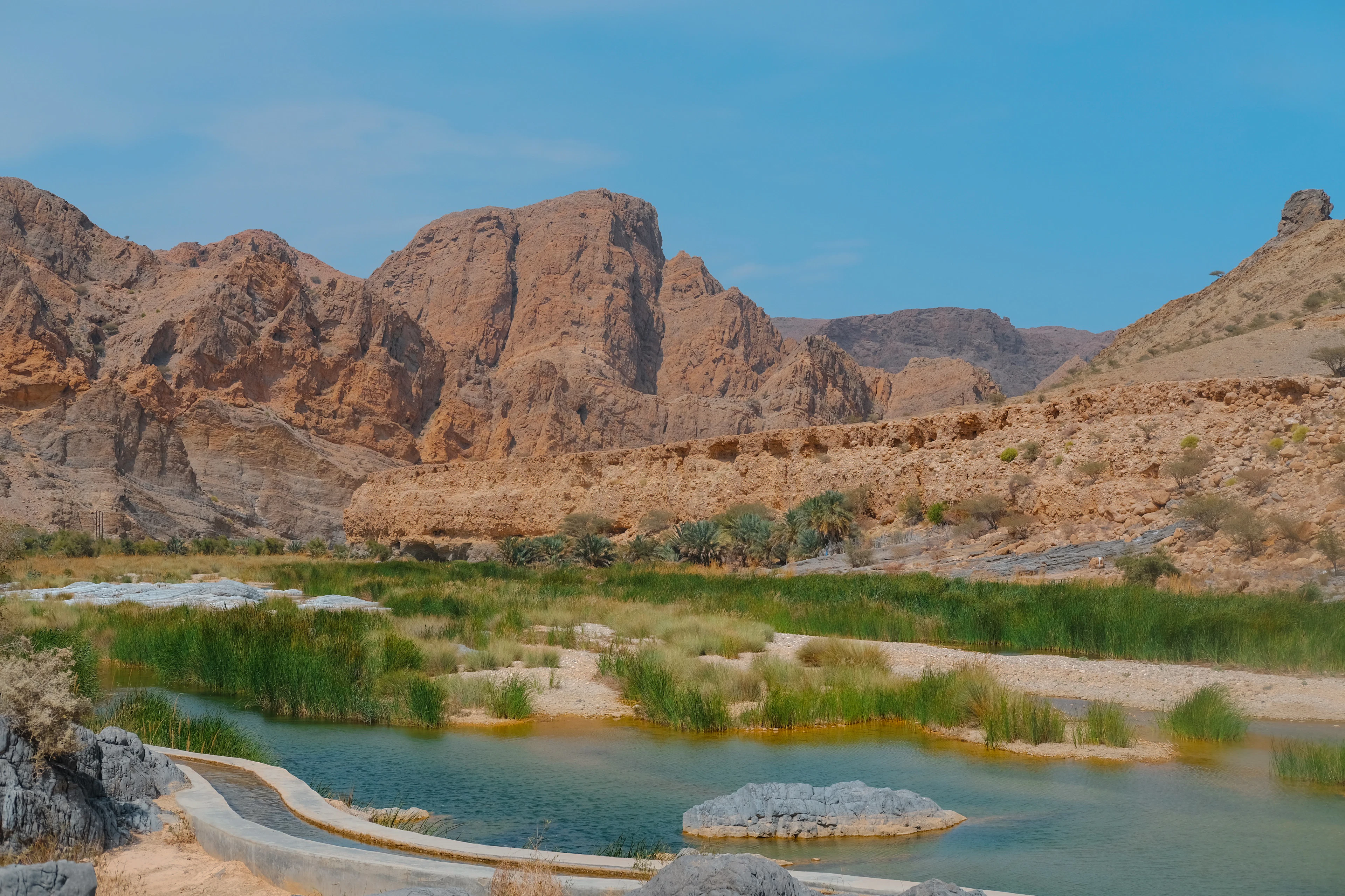 A green wadi pool, reeds and the rust-coloured rock of the Hajar Mountains, Oman