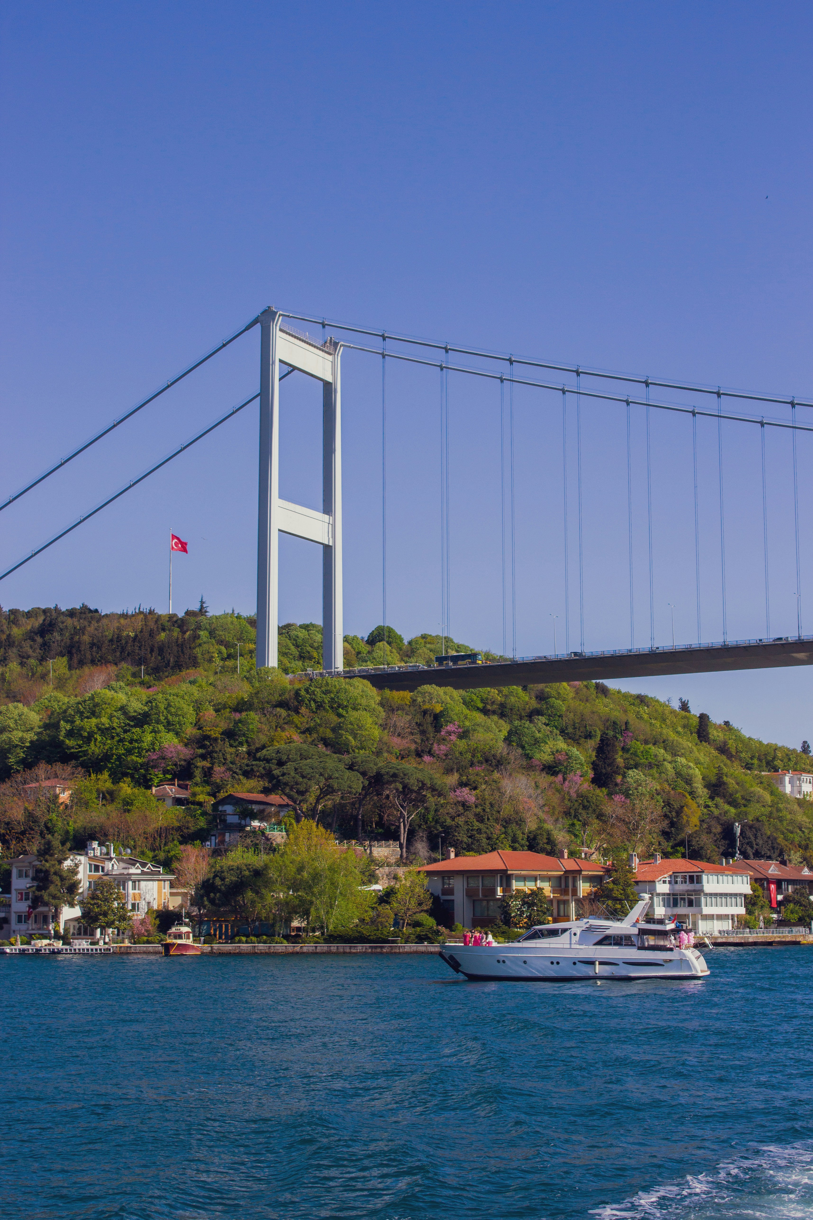 Photo by senosvesanat