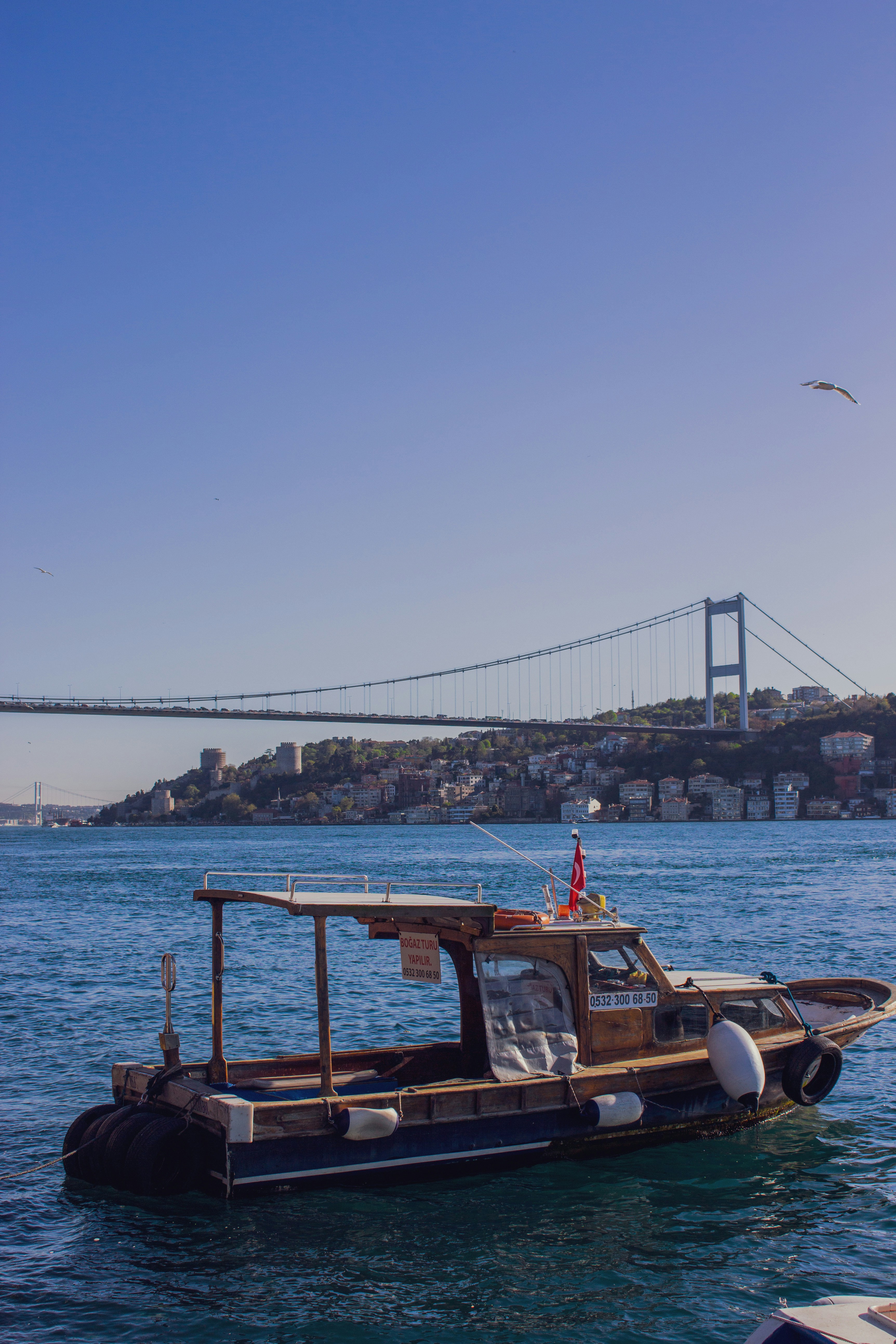 Photo by senosvesanat