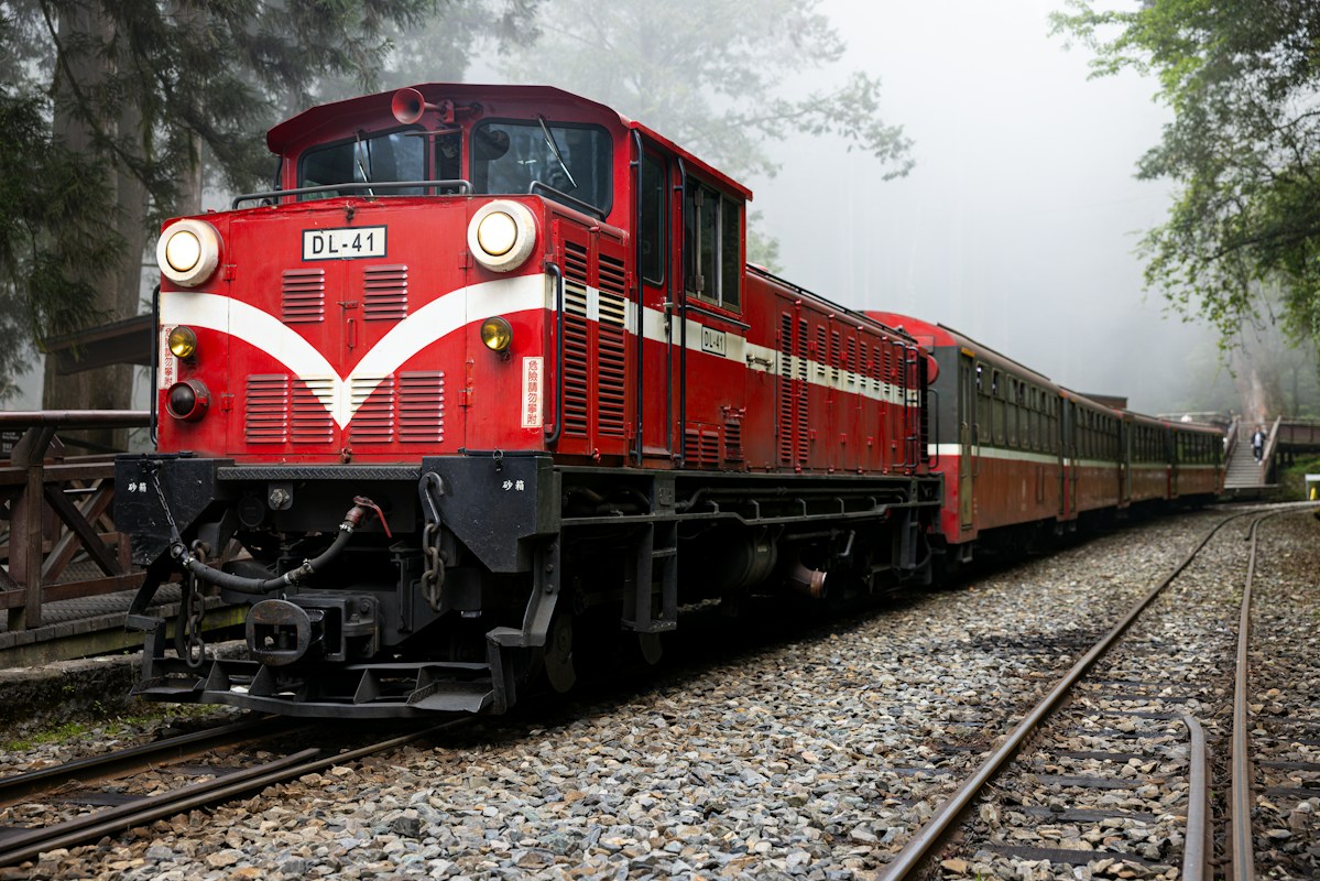 阿里山林業鐵路的紅色柴油機車頭行駛在森林軌道上