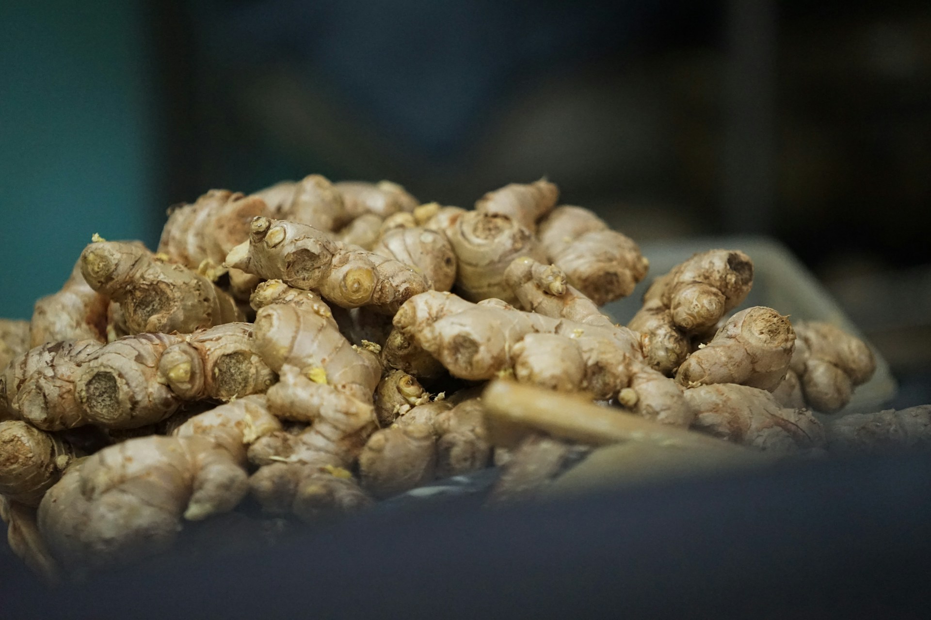 Fresh ginger roots are piled up together.