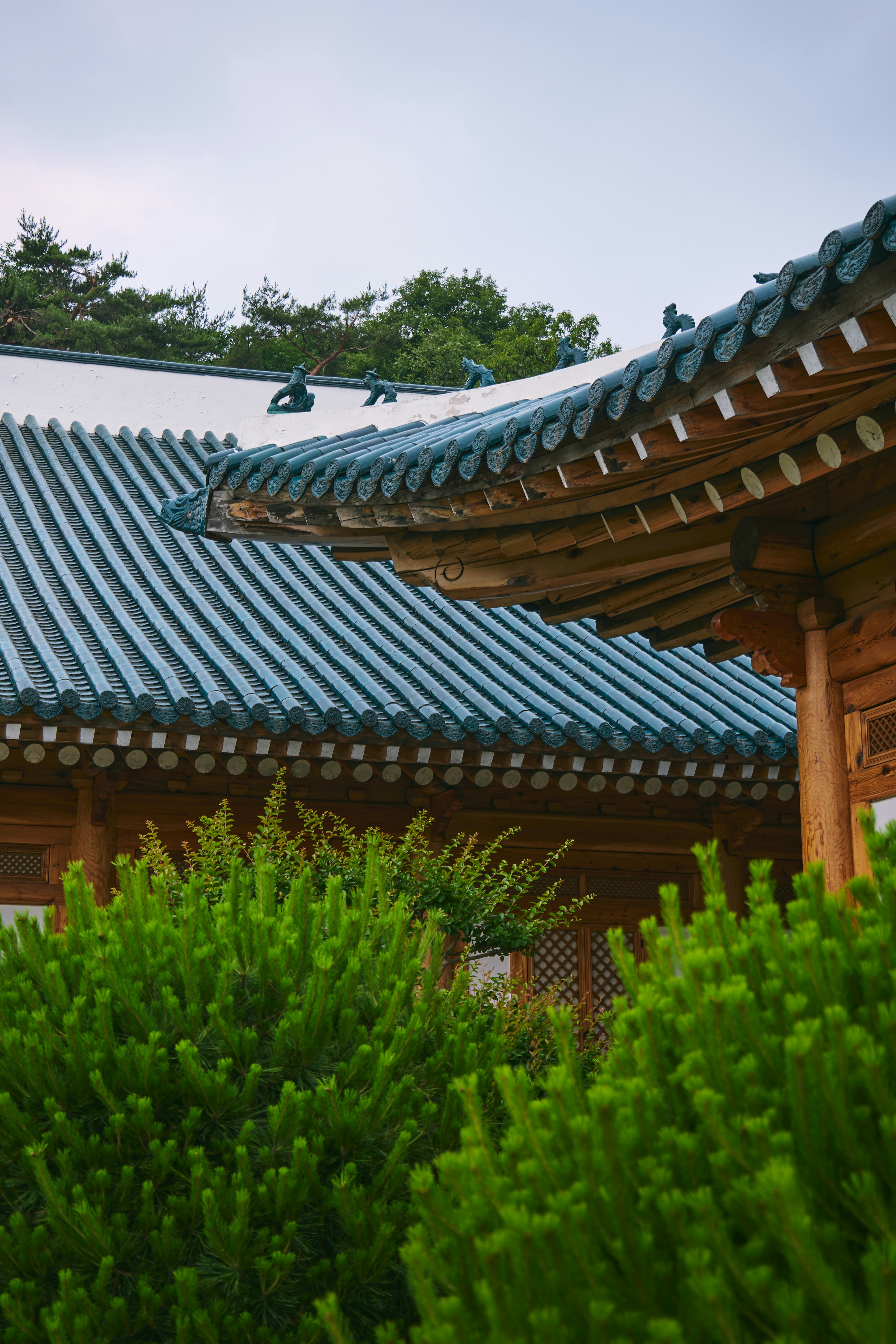 Photo by aasing_gwok