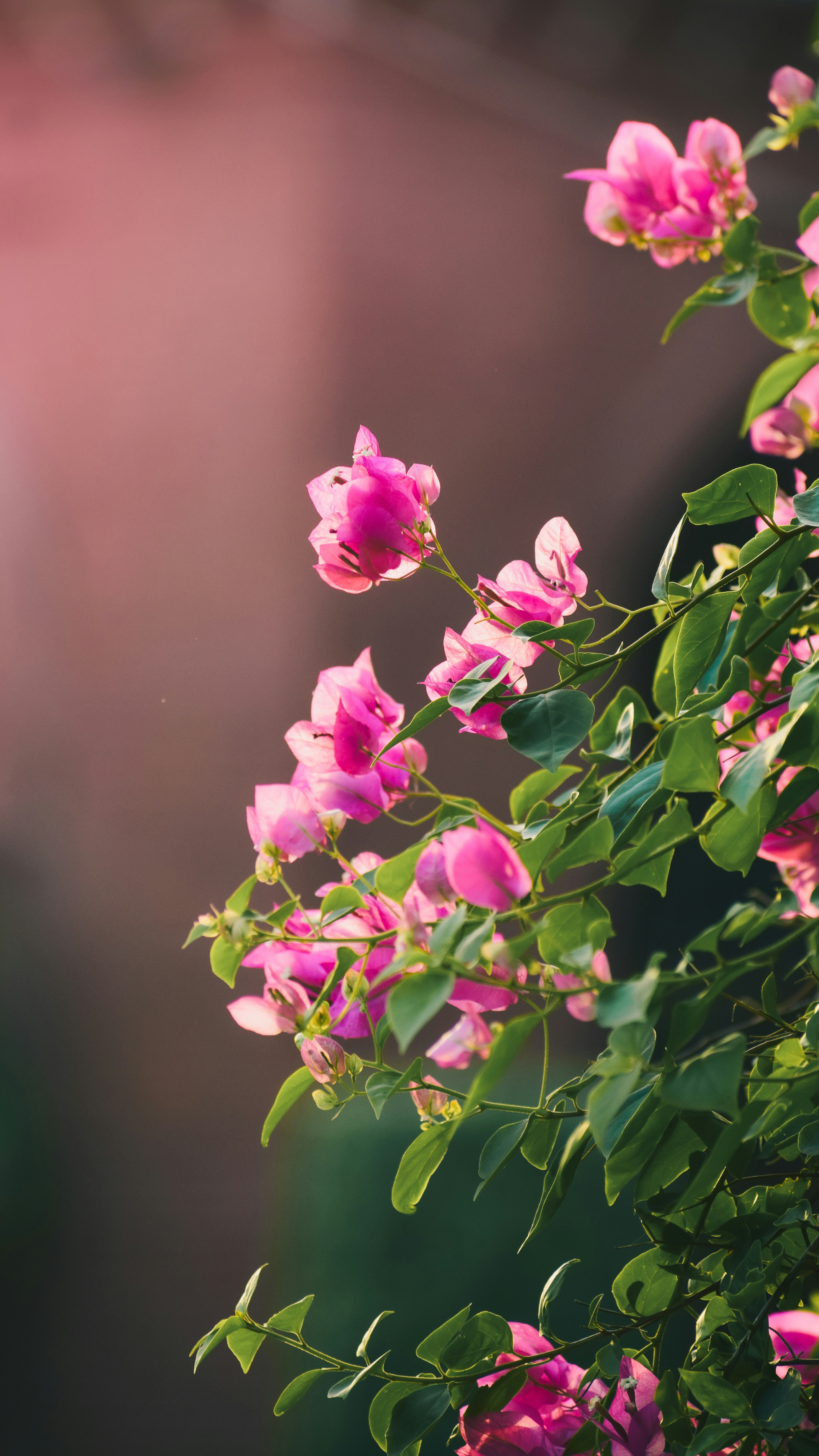 Photo by pixelbyzaki