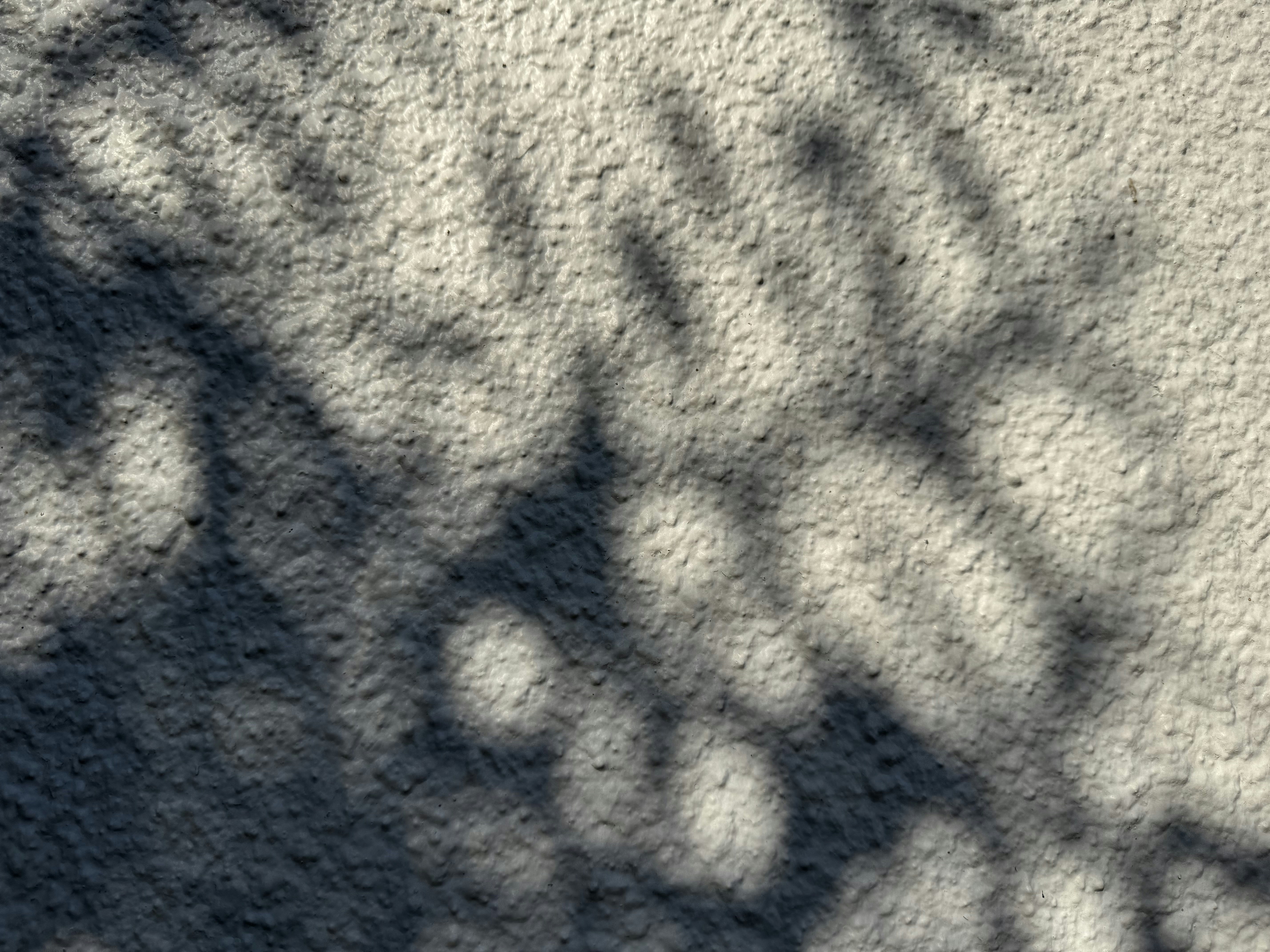 Photo by jonathanburger