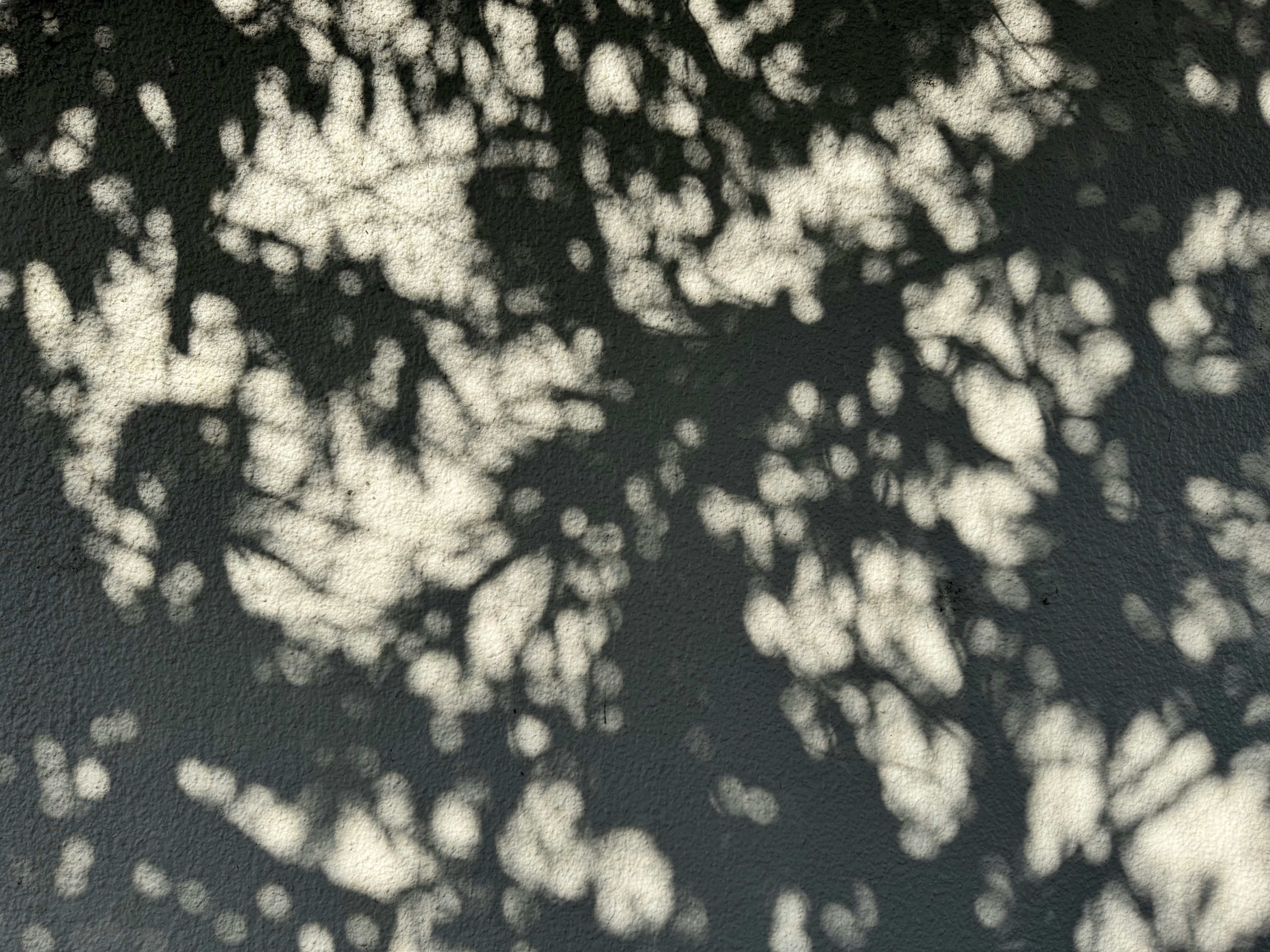 Photo by jonathanburger