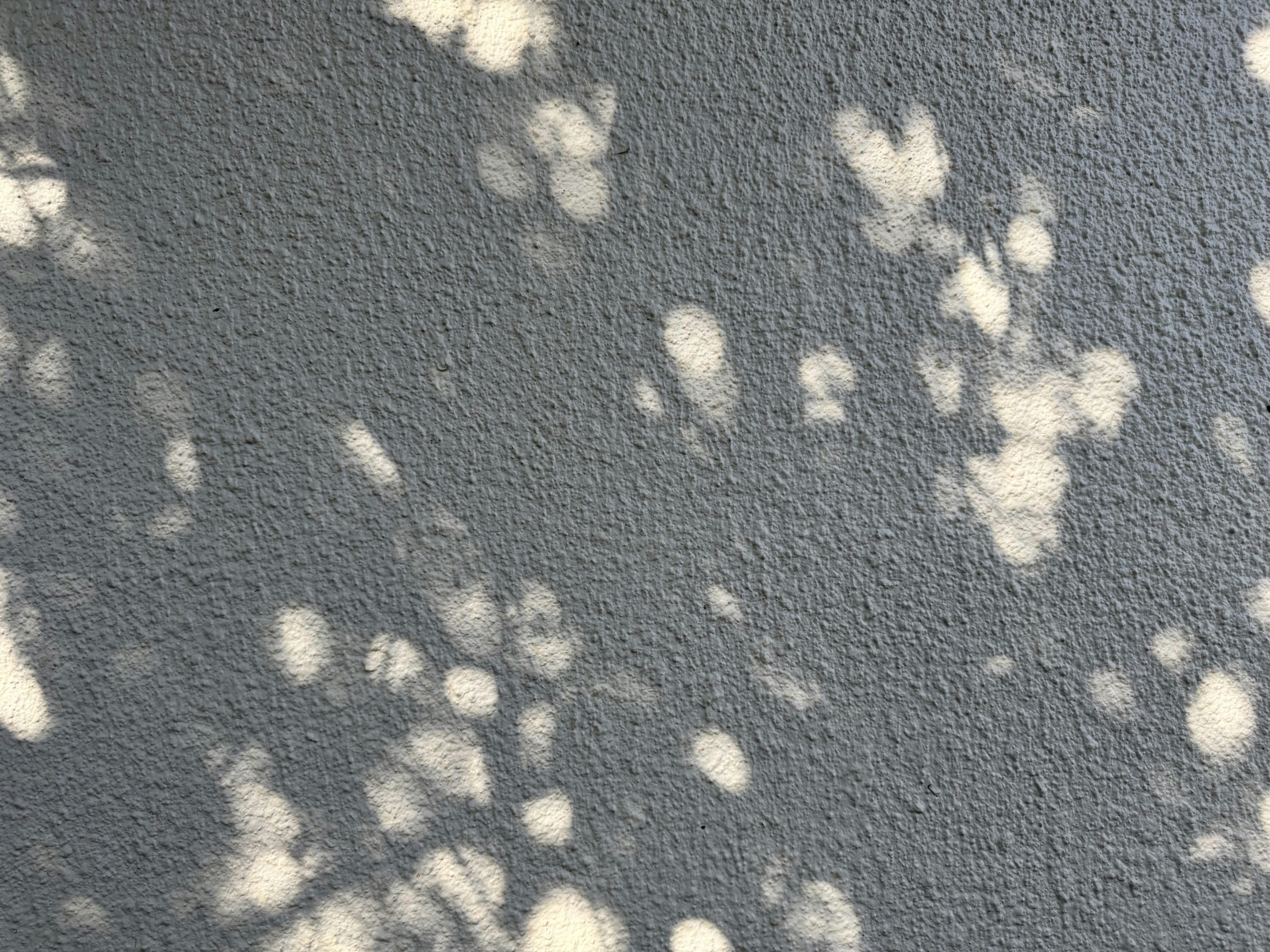 Photo by jonathanburger