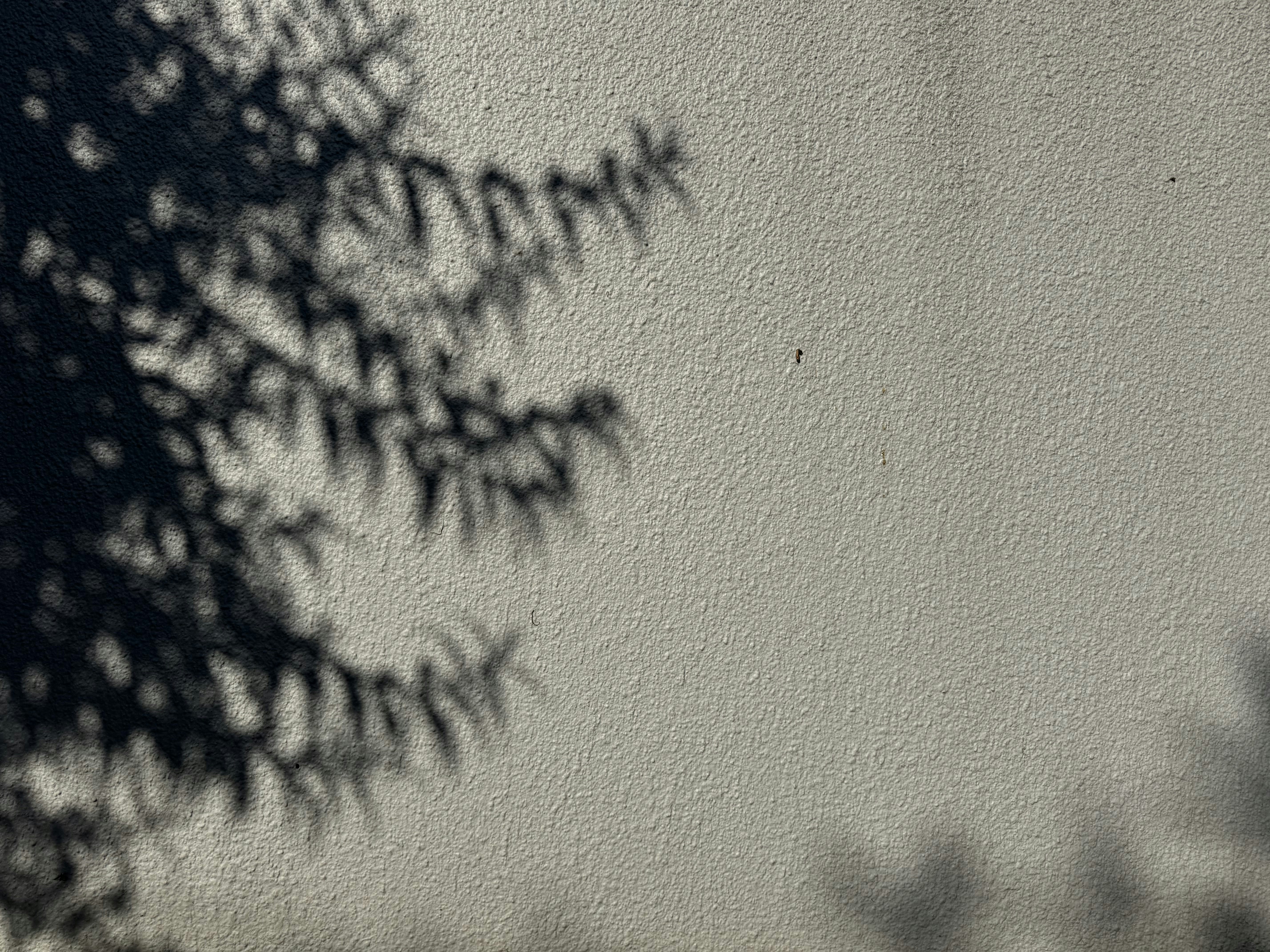 Photo by jonathanburger