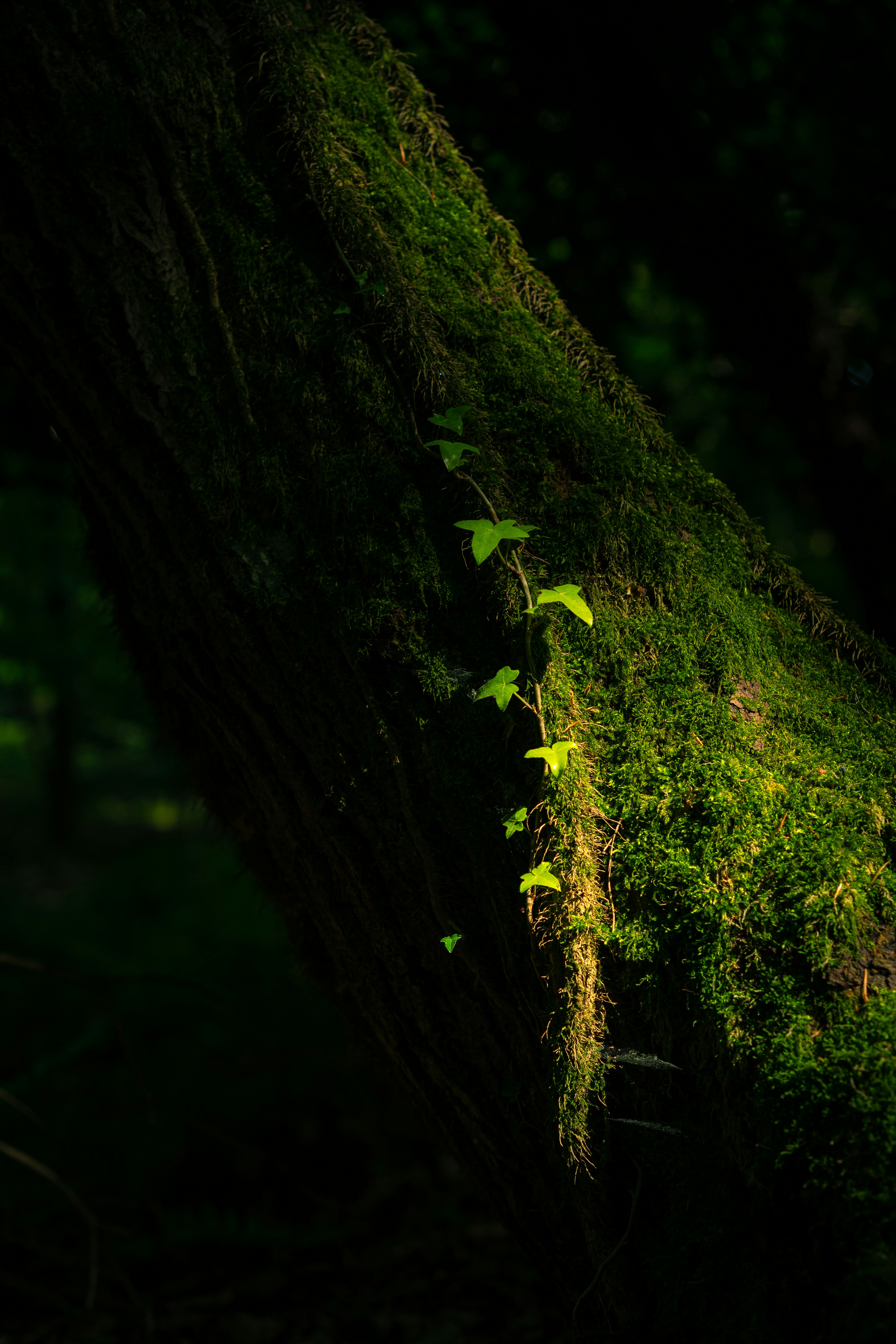 Photo by sebastian_niemann