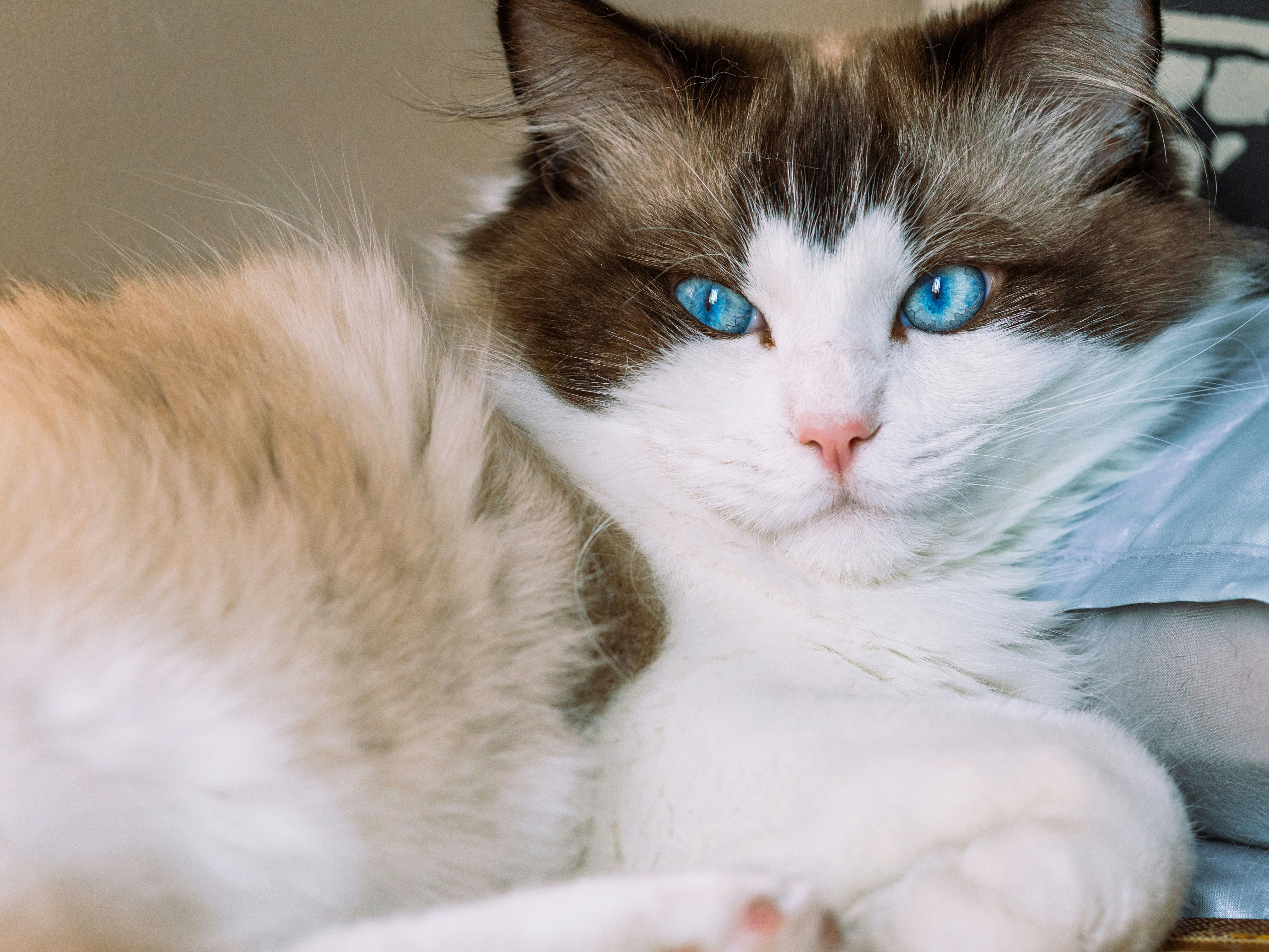 Photo by runningchild