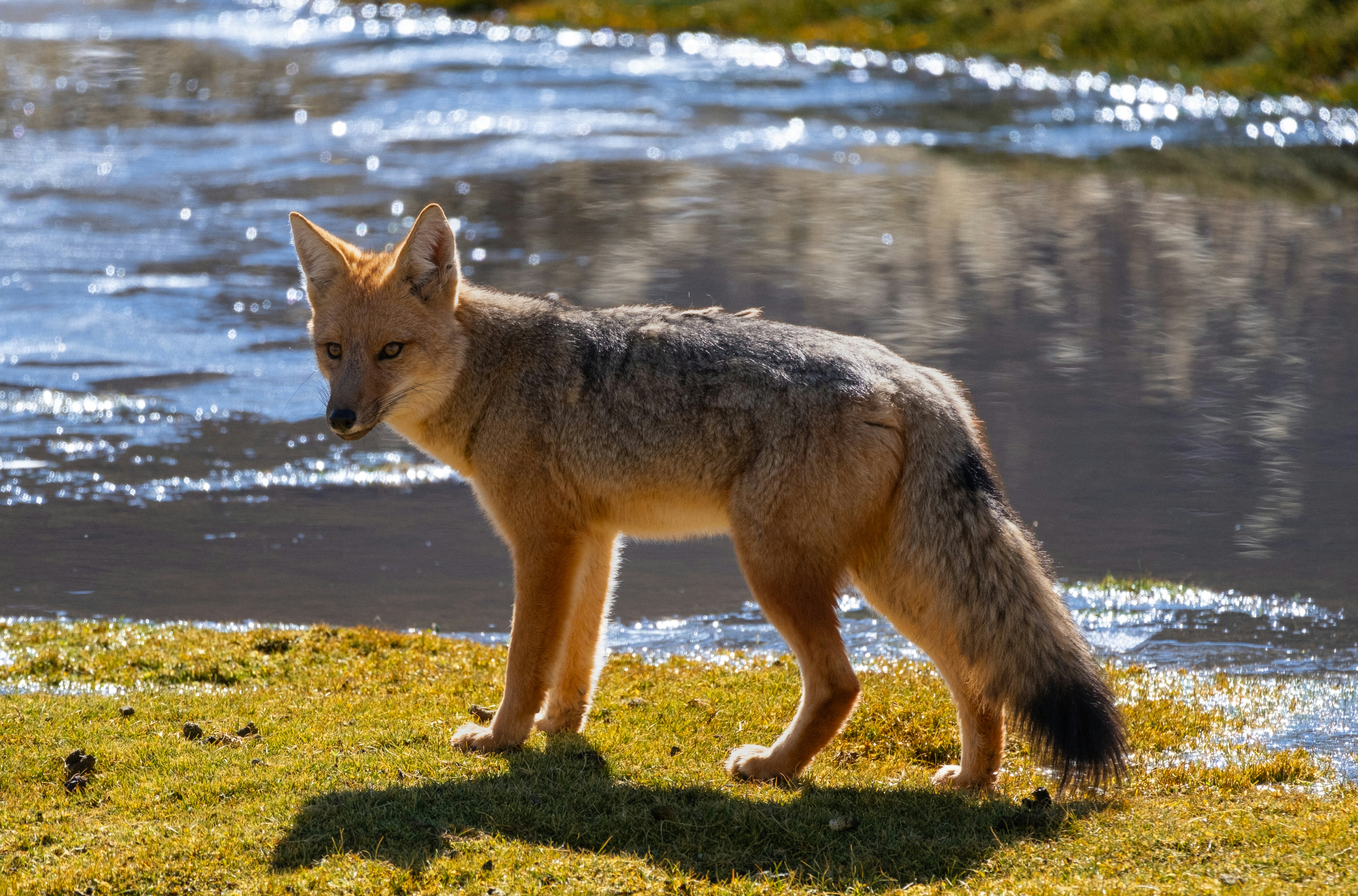 Photo by diegosmarines