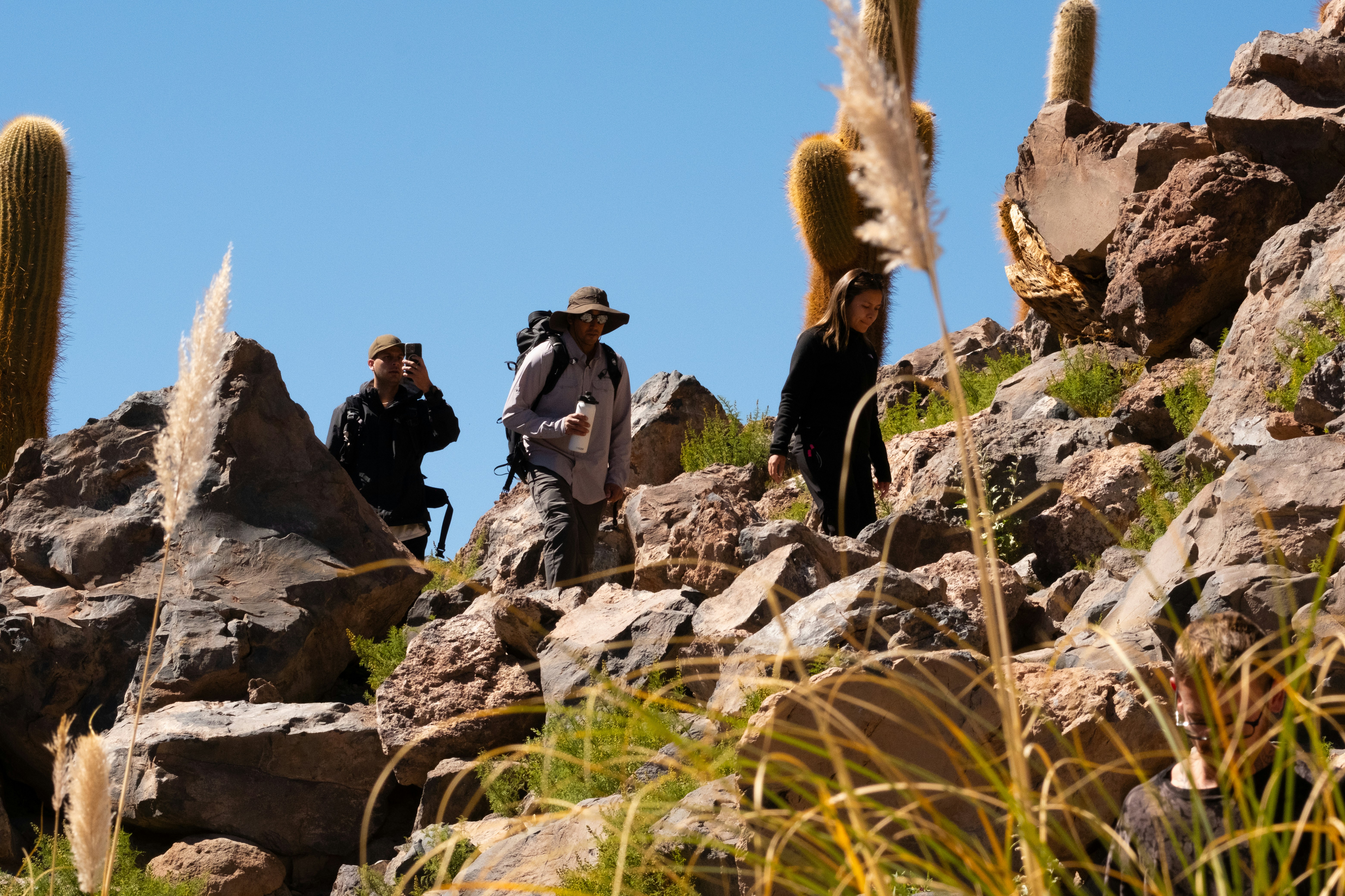 Hikers are exploring a rocky landscape with cacti.