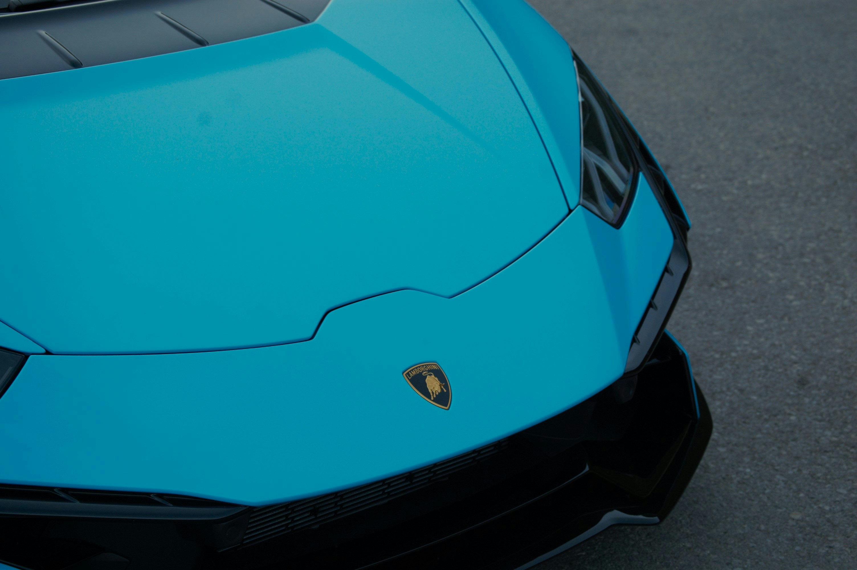 Photo by noahgremmert1