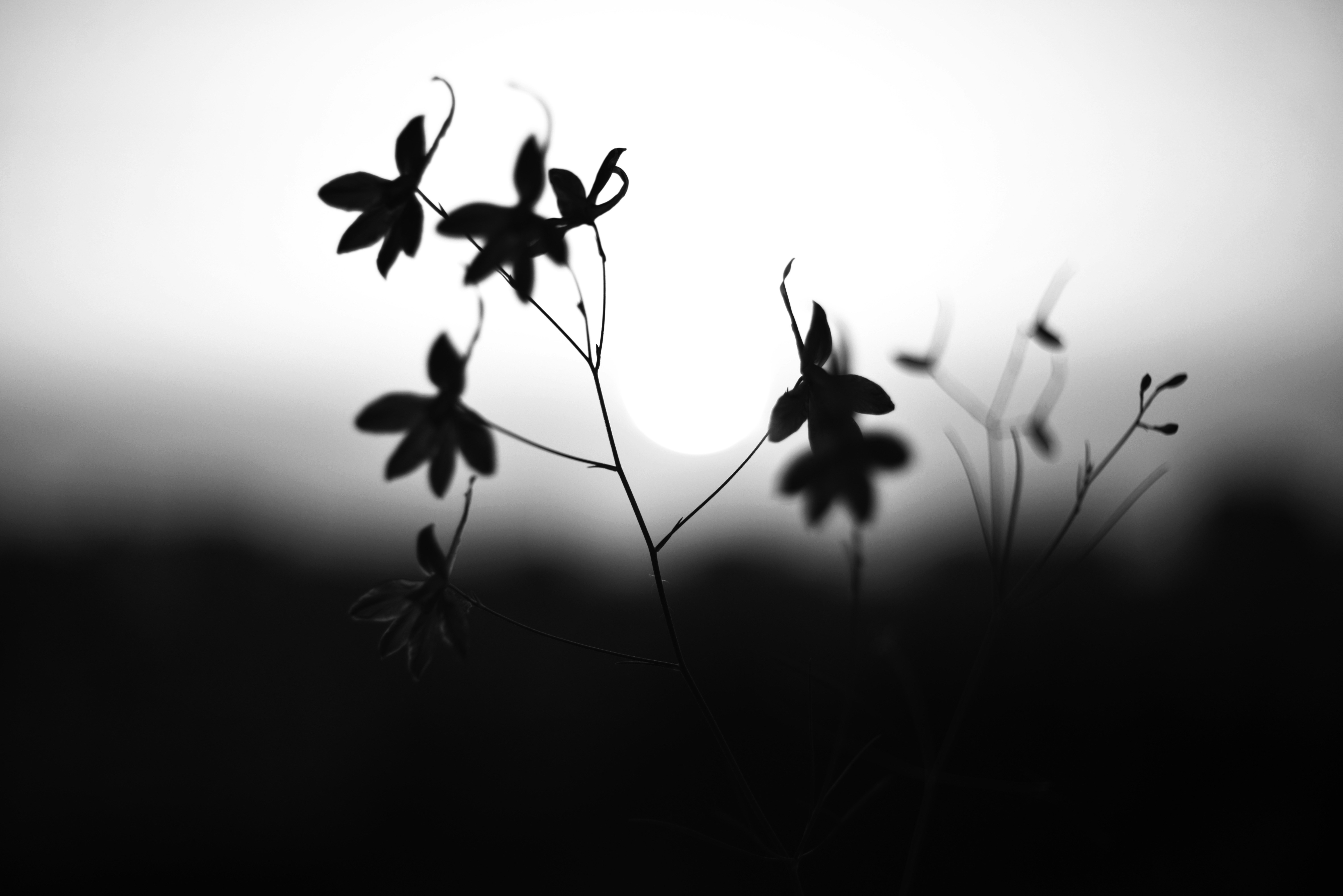 Photo by cherstve_pechivo