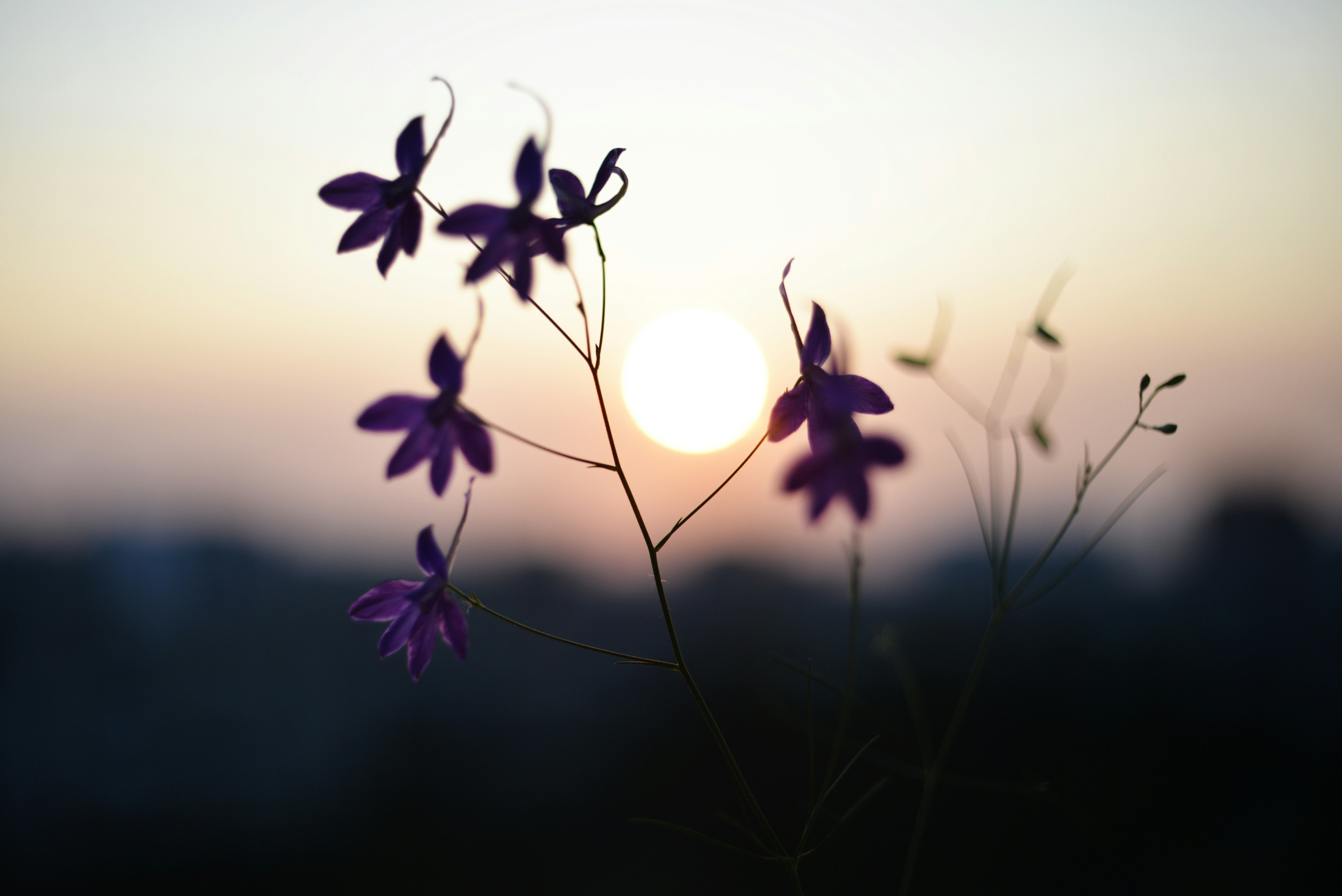 Photo by cherstve_pechivo