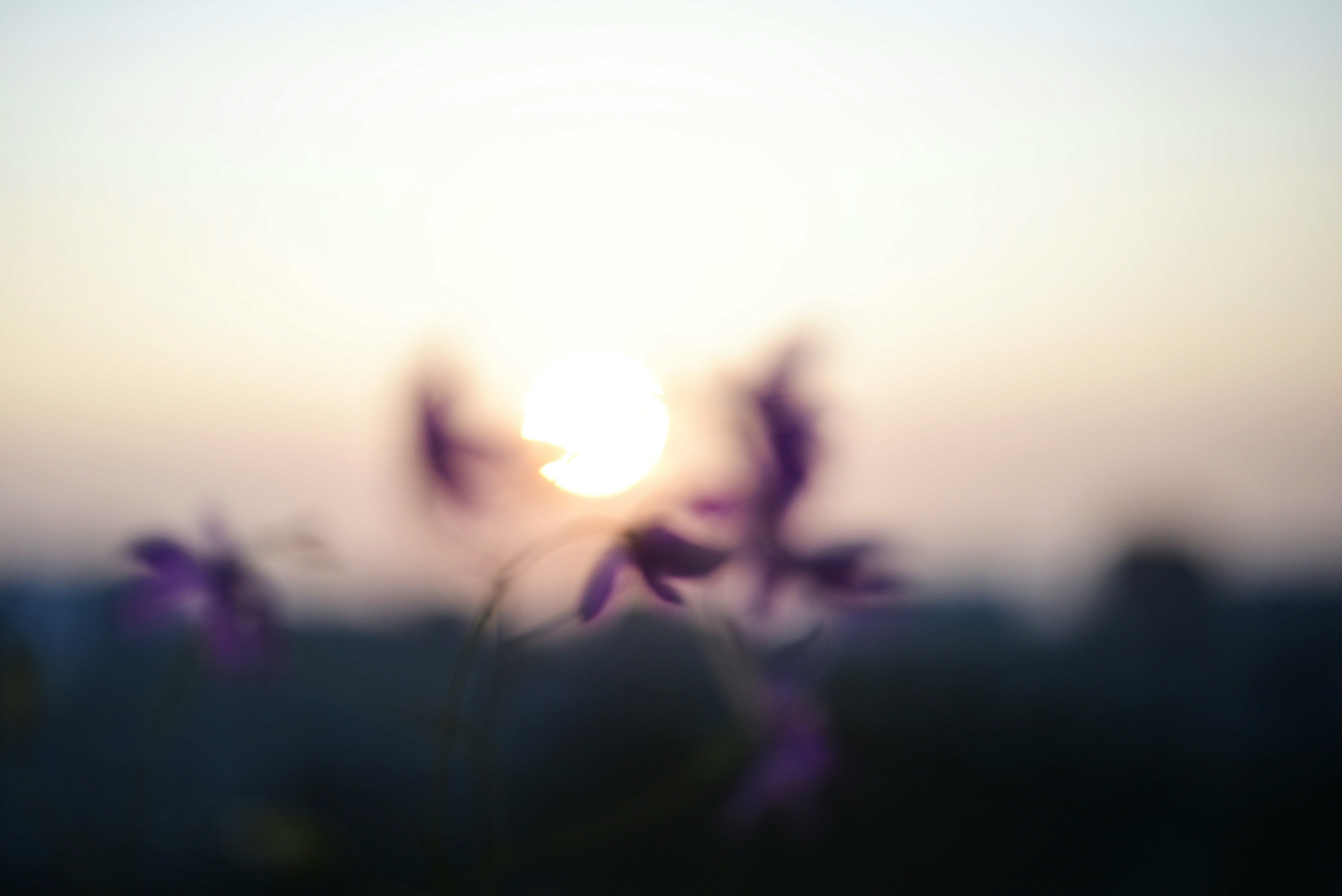 Photo by cherstve_pechivo