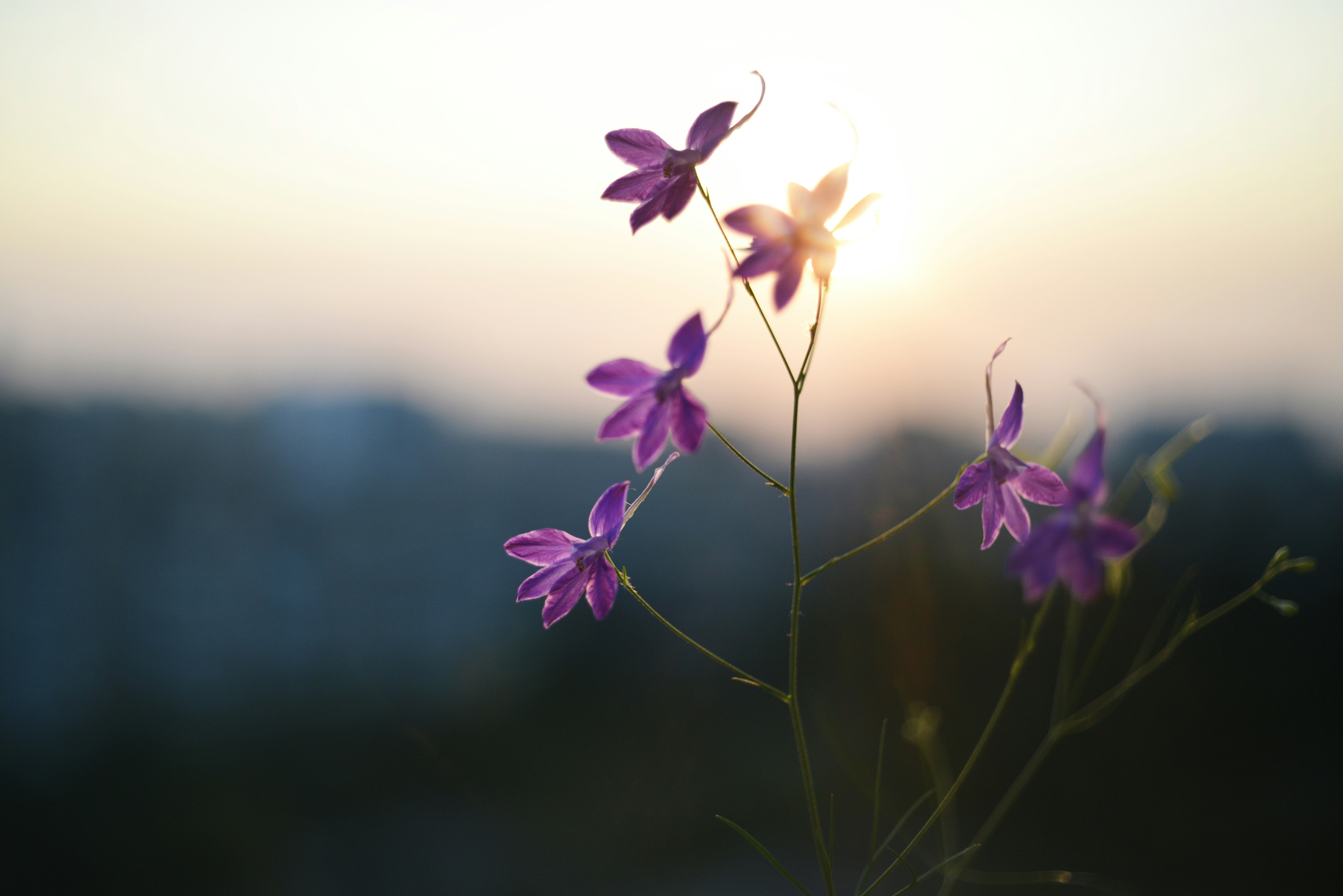 Photo by cherstve_pechivo