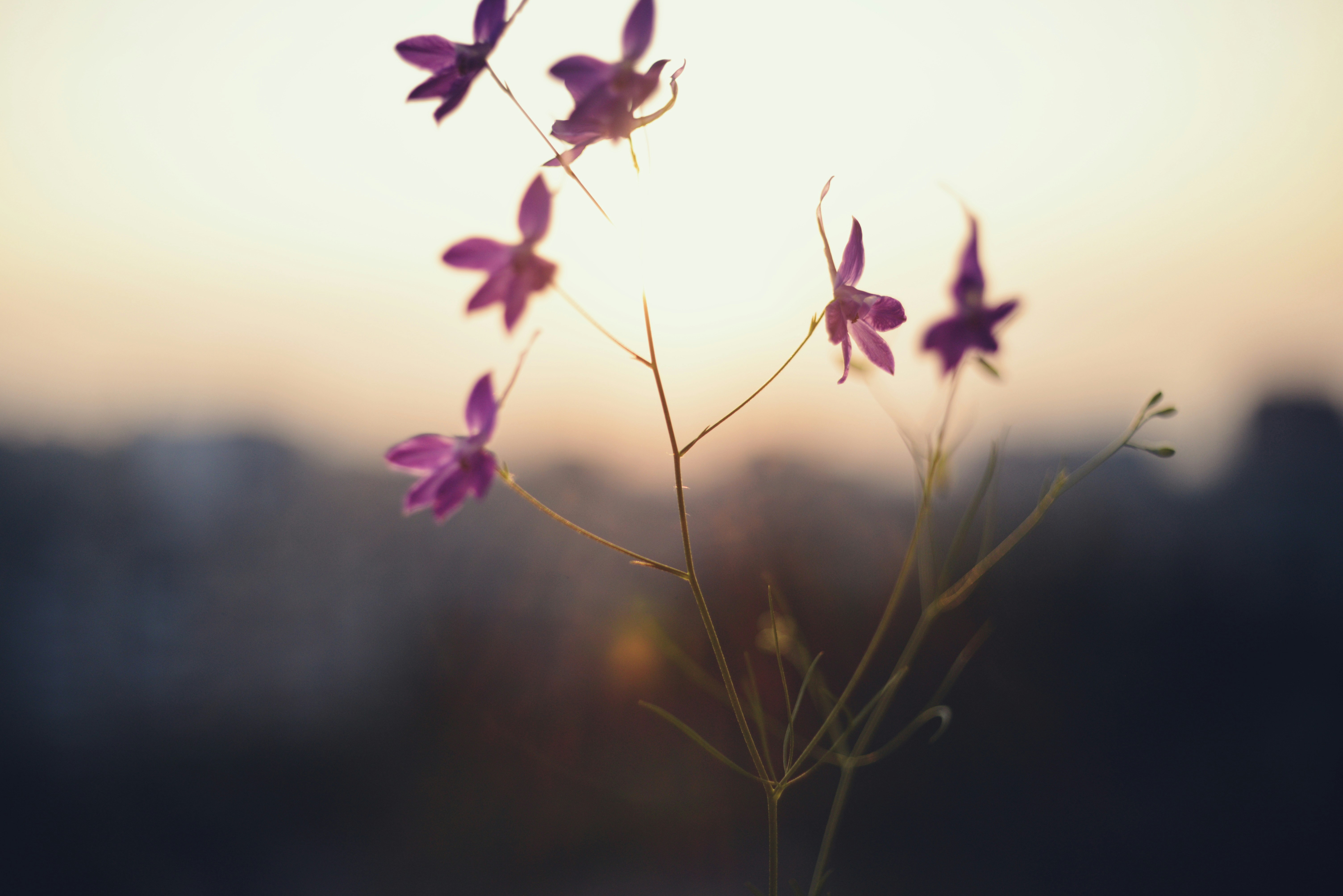 Photo by cherstve_pechivo