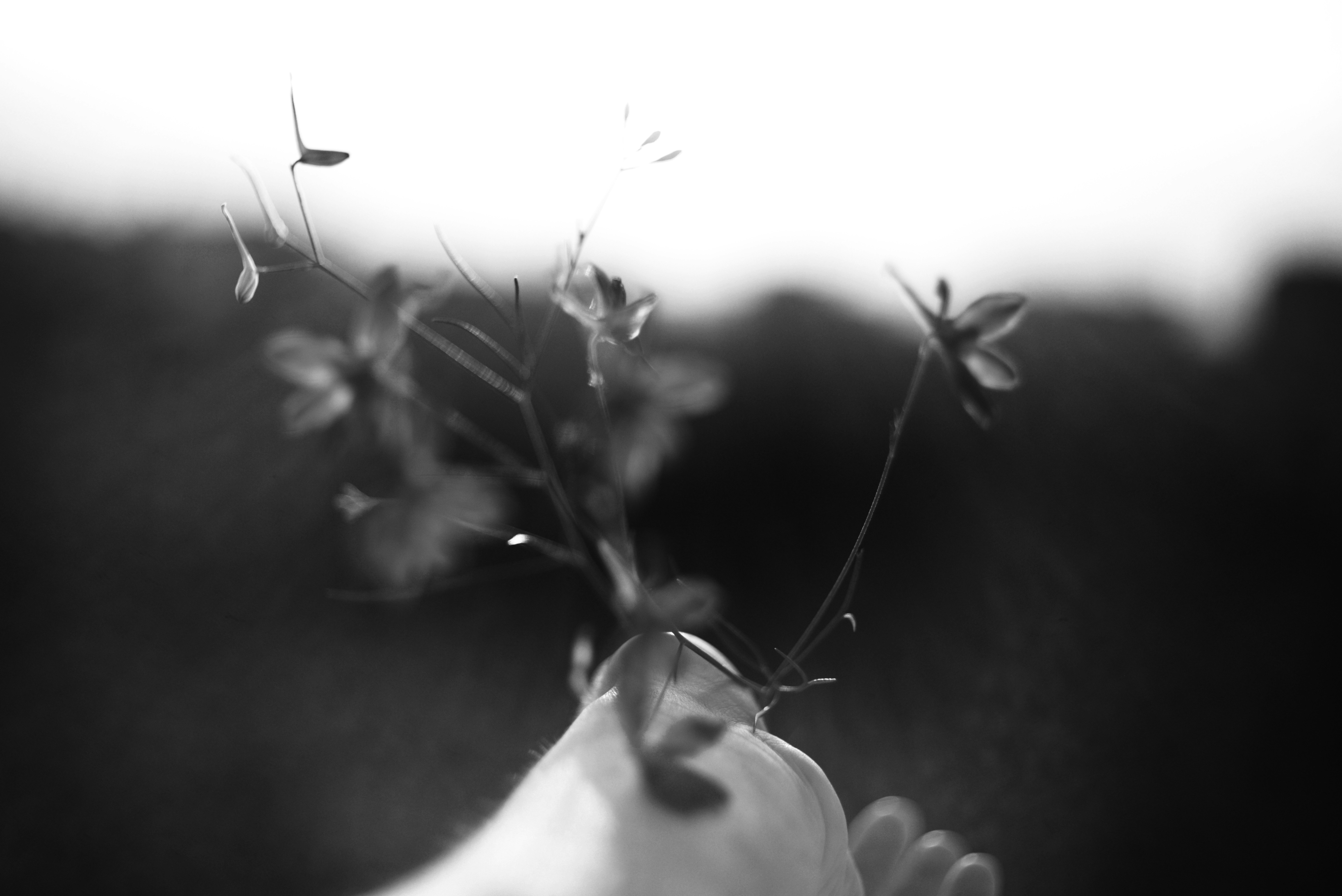 Photo by cherstve_pechivo