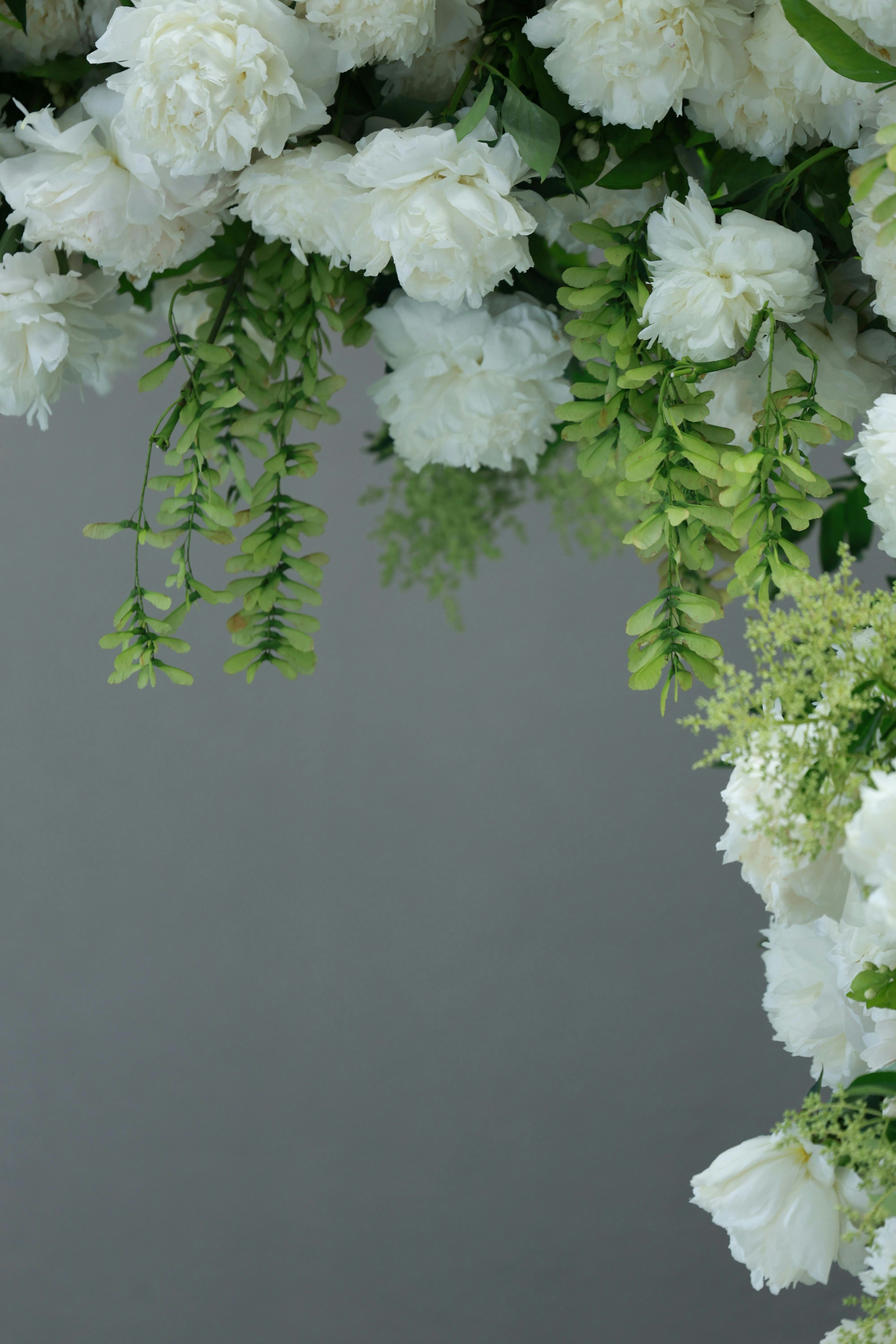 Photo by americanaez225