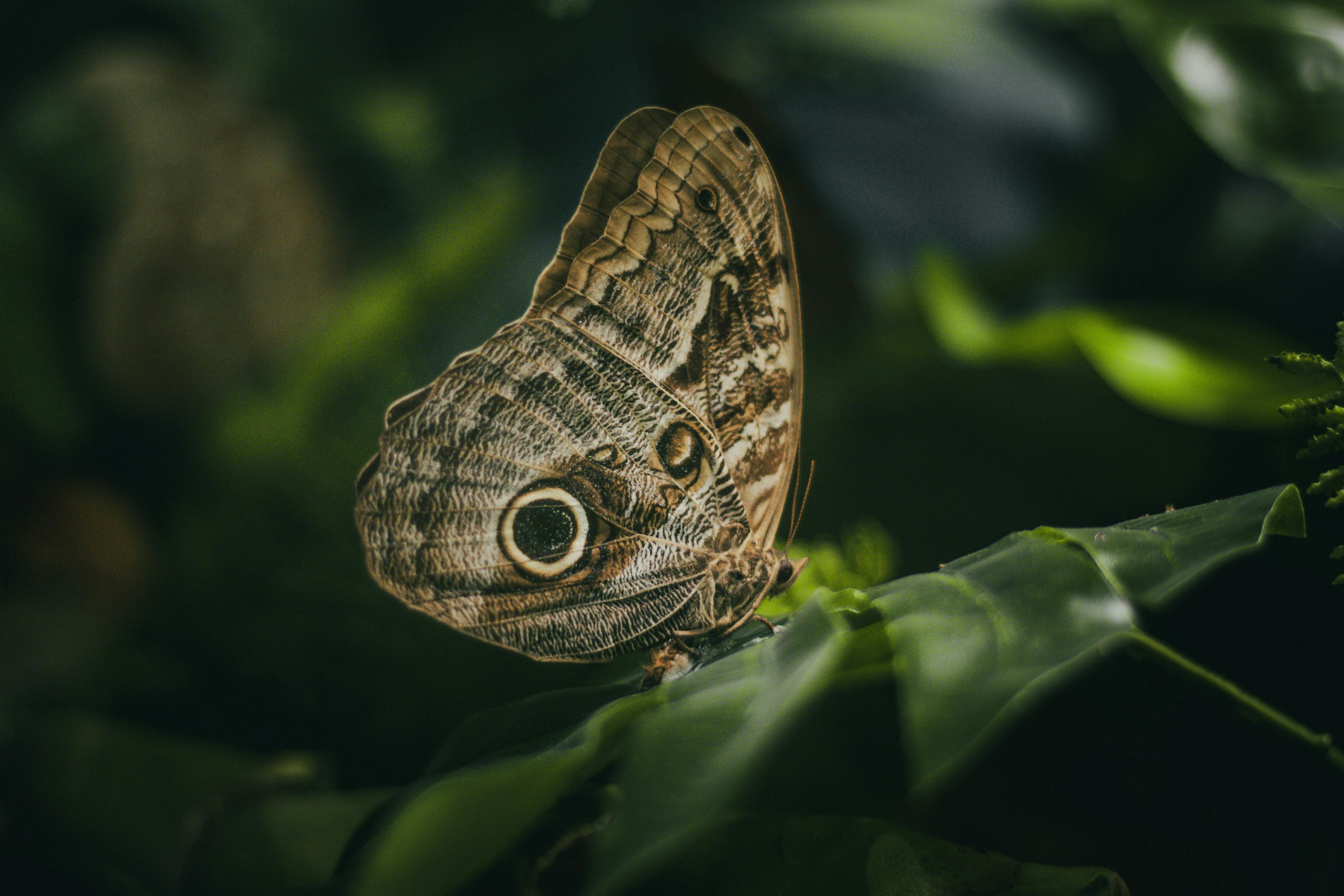 Photo by americanaez225